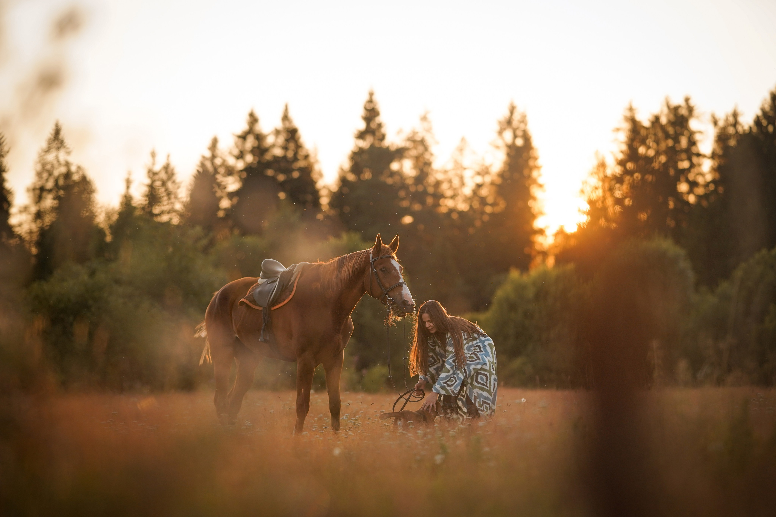 Лера Джон и Диамант. Фотограф-анималист в Санкт-Петербурге Яна Мартынова