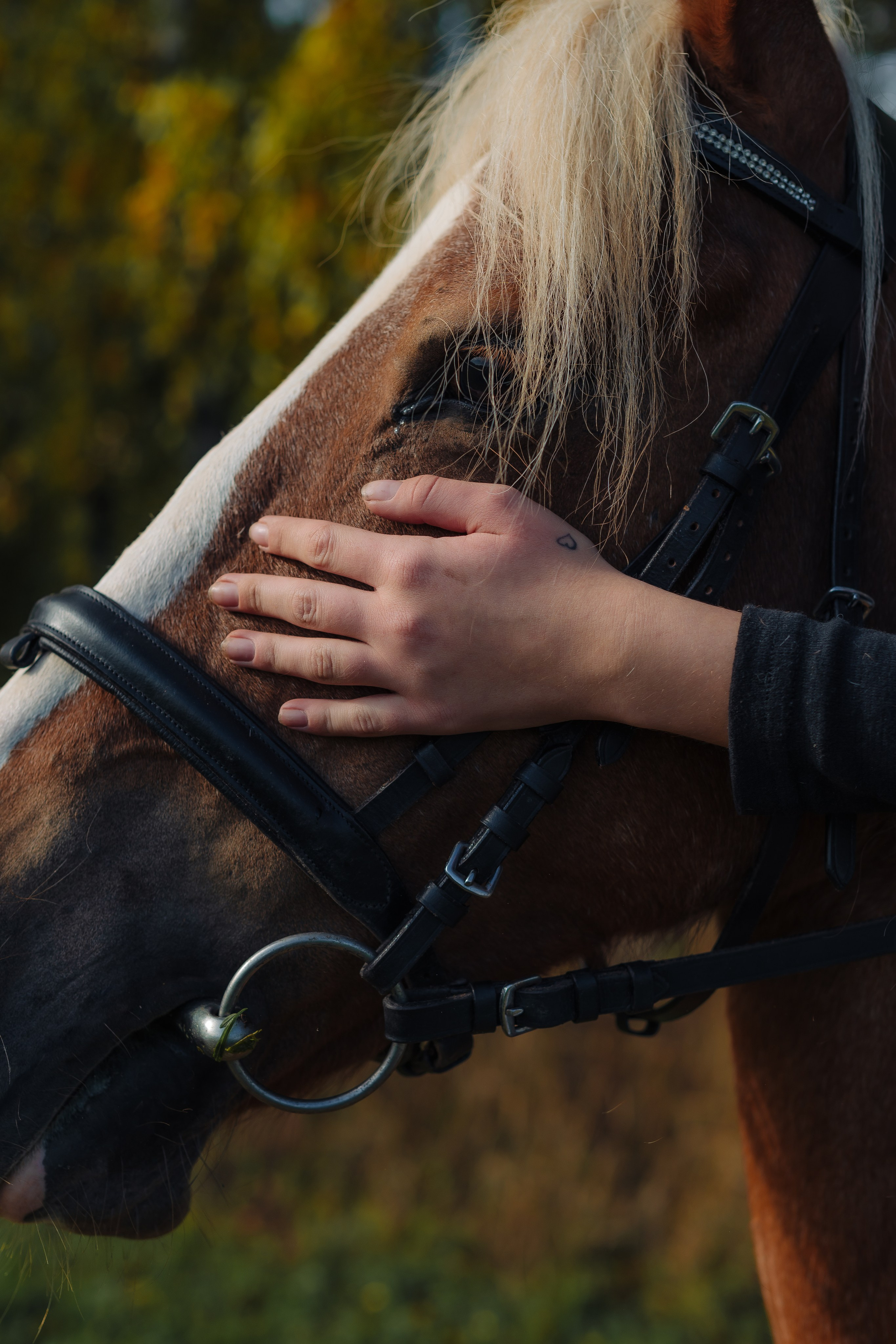 Виктория Москвина — портретная съёмка. Иван Кубик — фотограф и видеограф