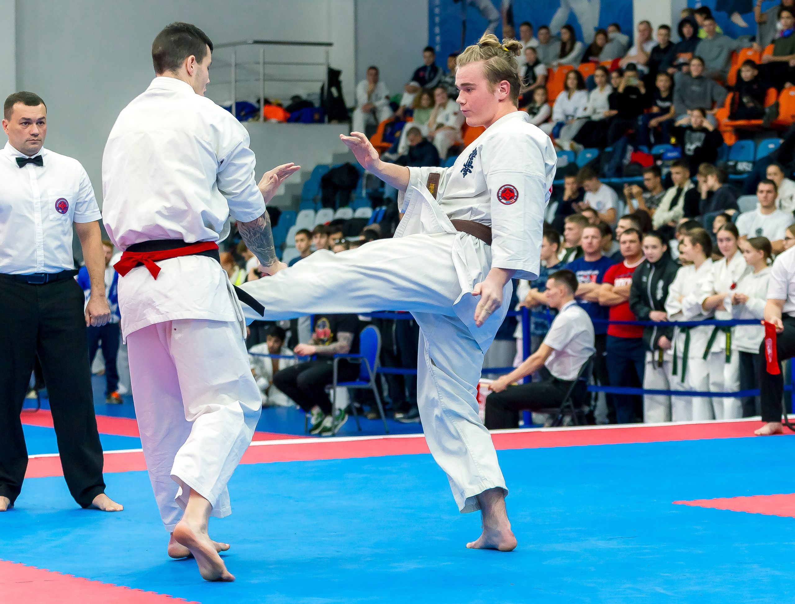 Соревнования по Киокушин памяти С. Увицкого. Репортажная съемка в Москве и области. Анималистика