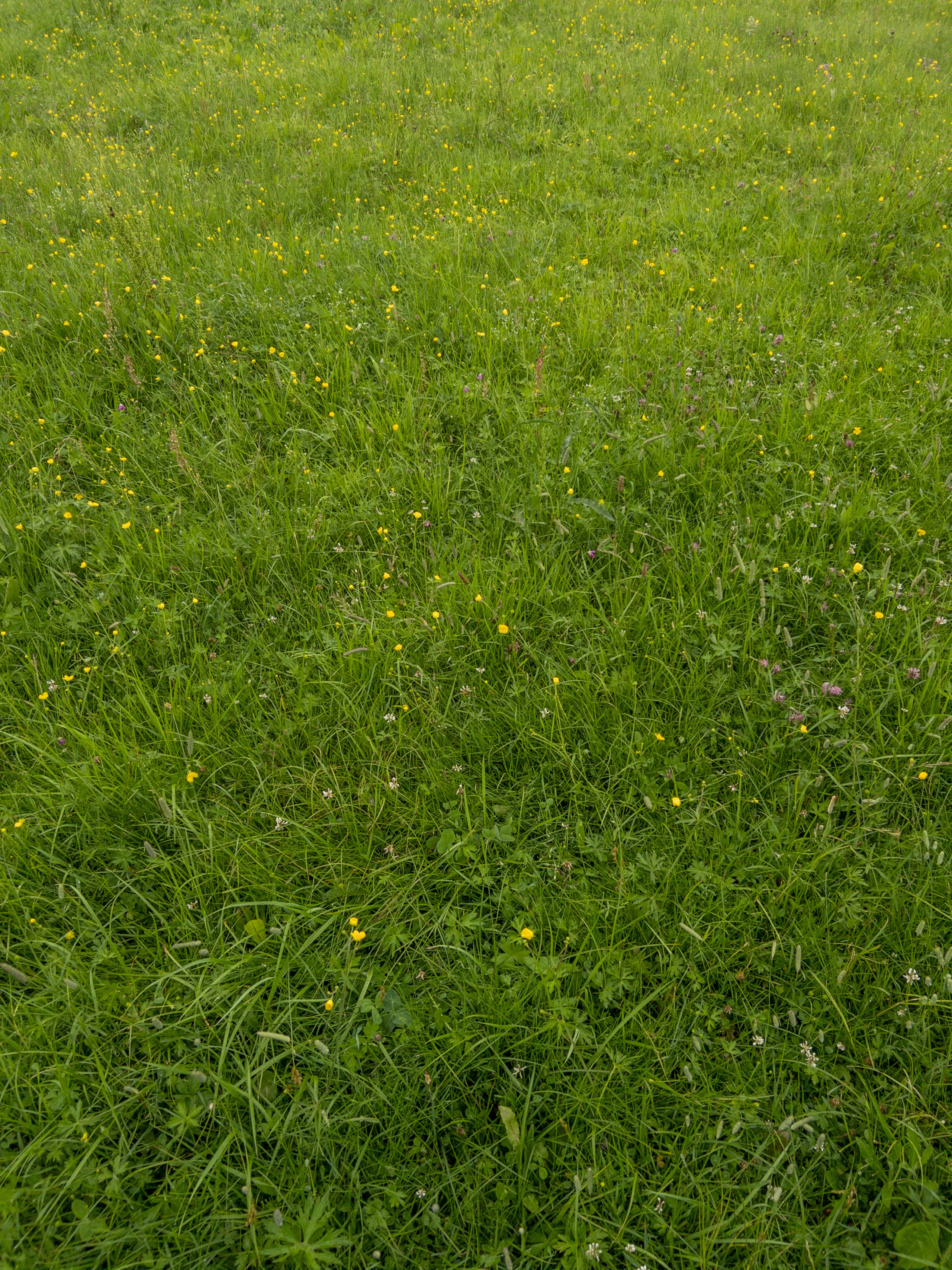 Лето, ах лето. Фотокружок «Видоискатель» ГБОУ СОШ № 291