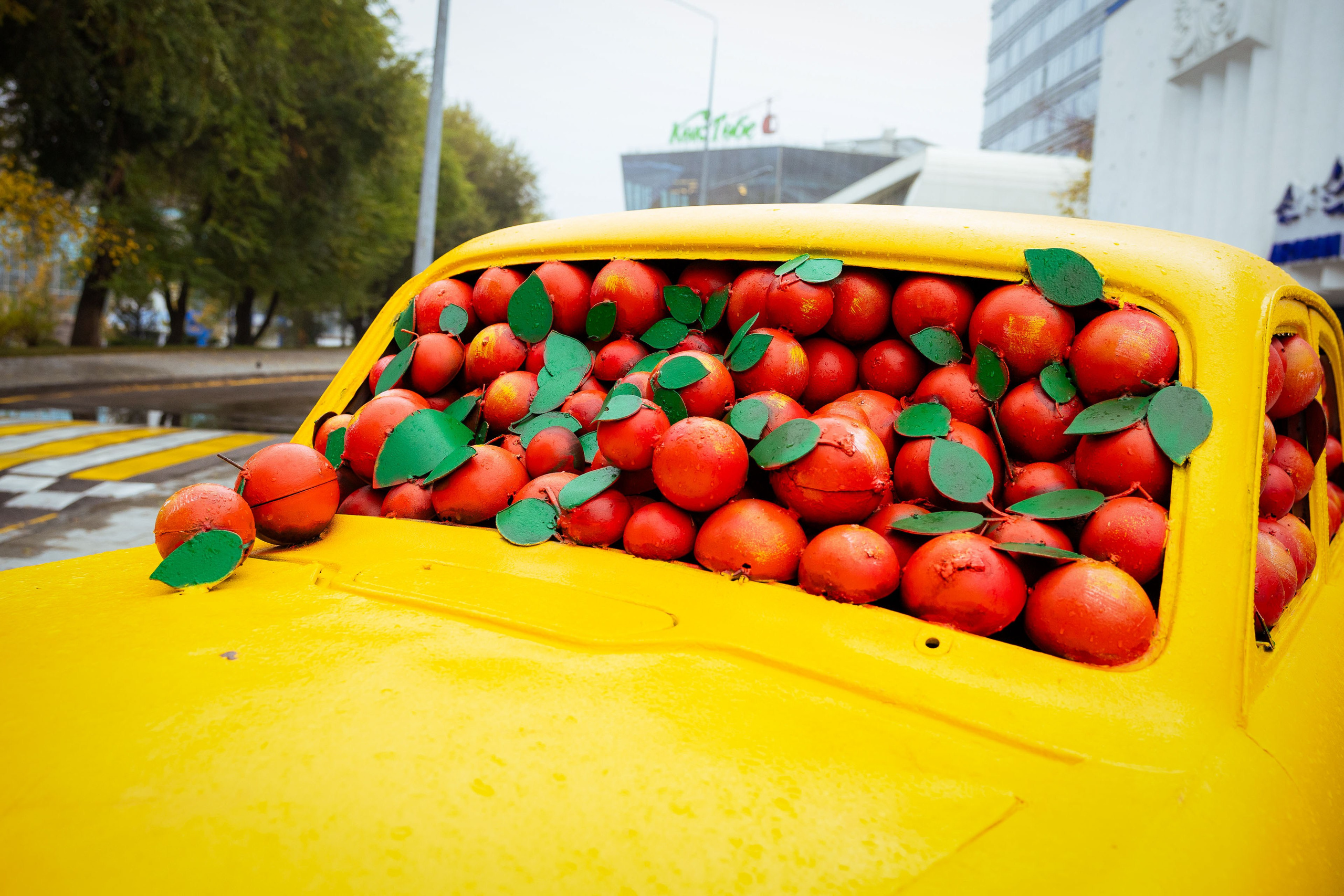 Казахстан (осень 2024). Фотограф Виноградов Константин