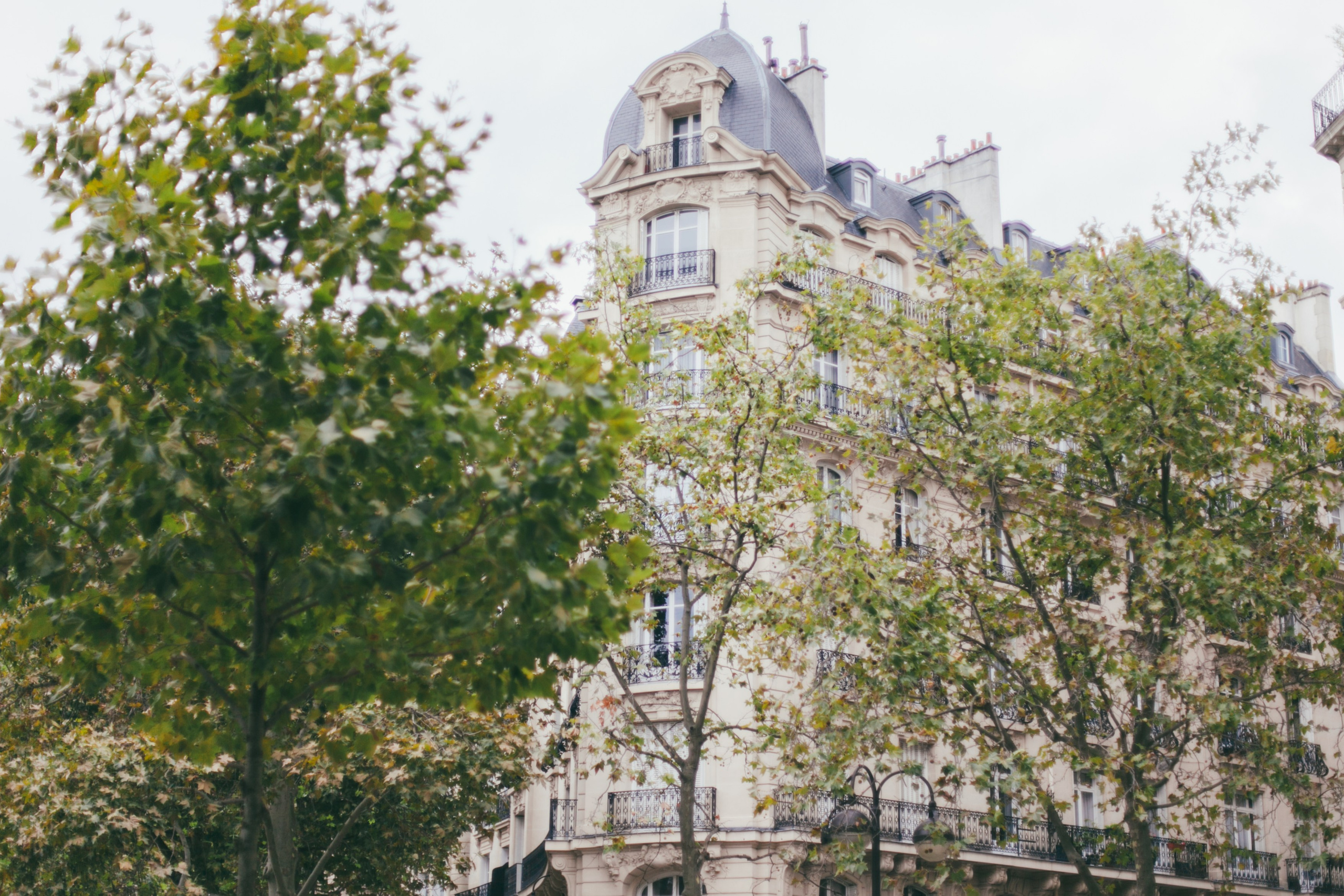 Париж. Аня Степанова