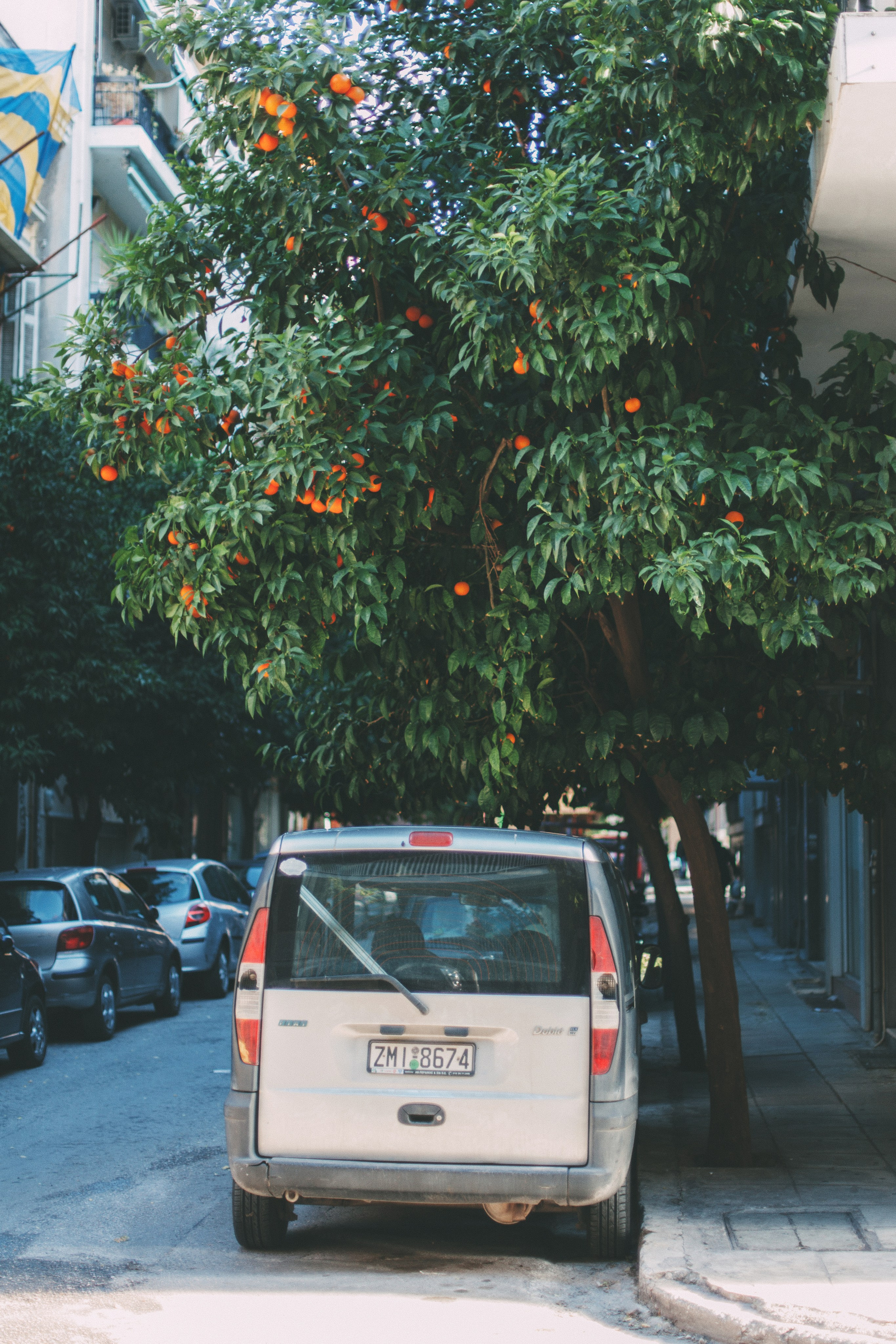 Афины. Аня Степанова