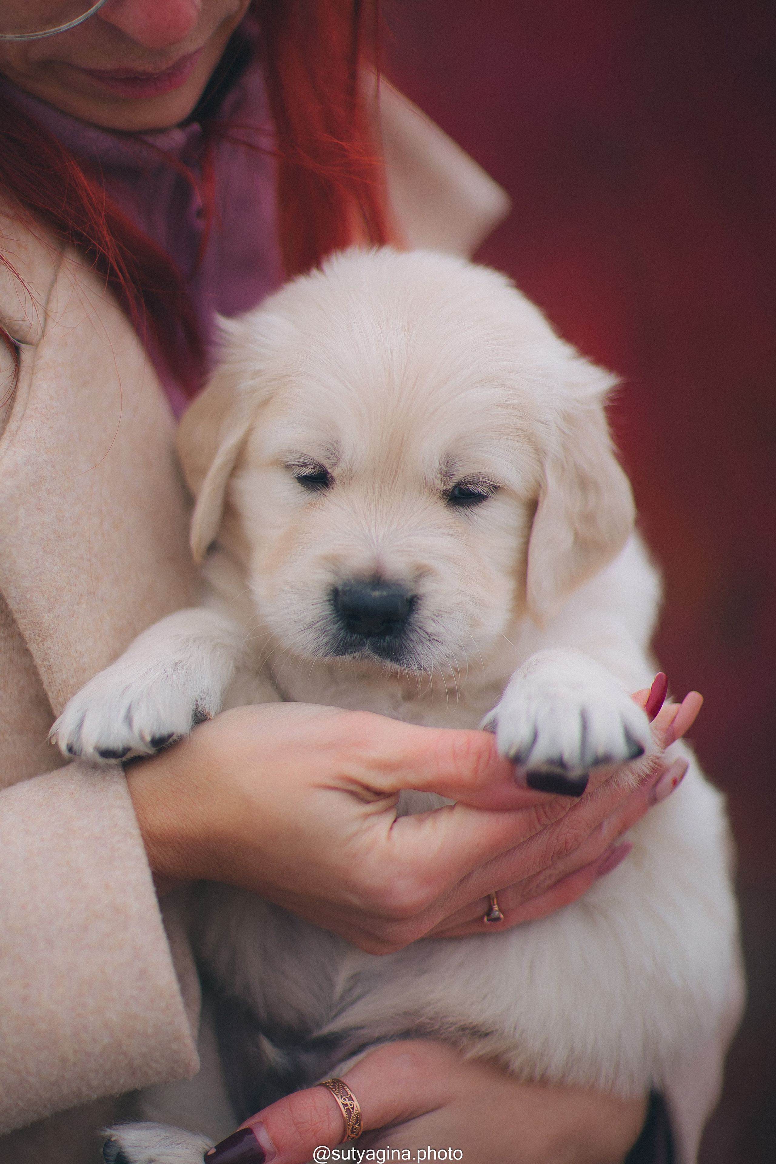 Розовый ошейник. Свадебный и женский фотограф