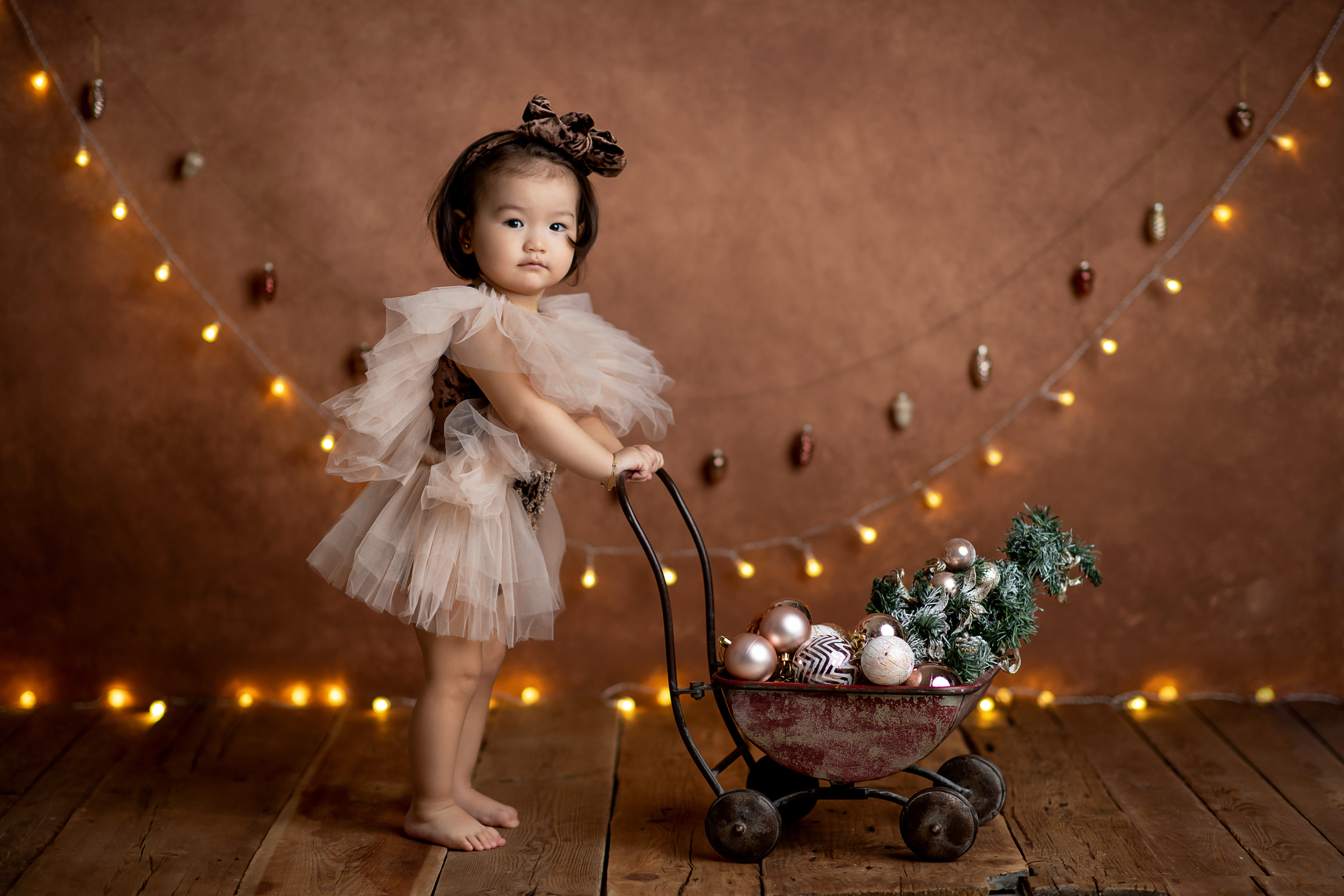 Фотодень Новый год 2025-2026. Творческая команда Ульяшевы, свадебная и семейная фотография. Кахахста