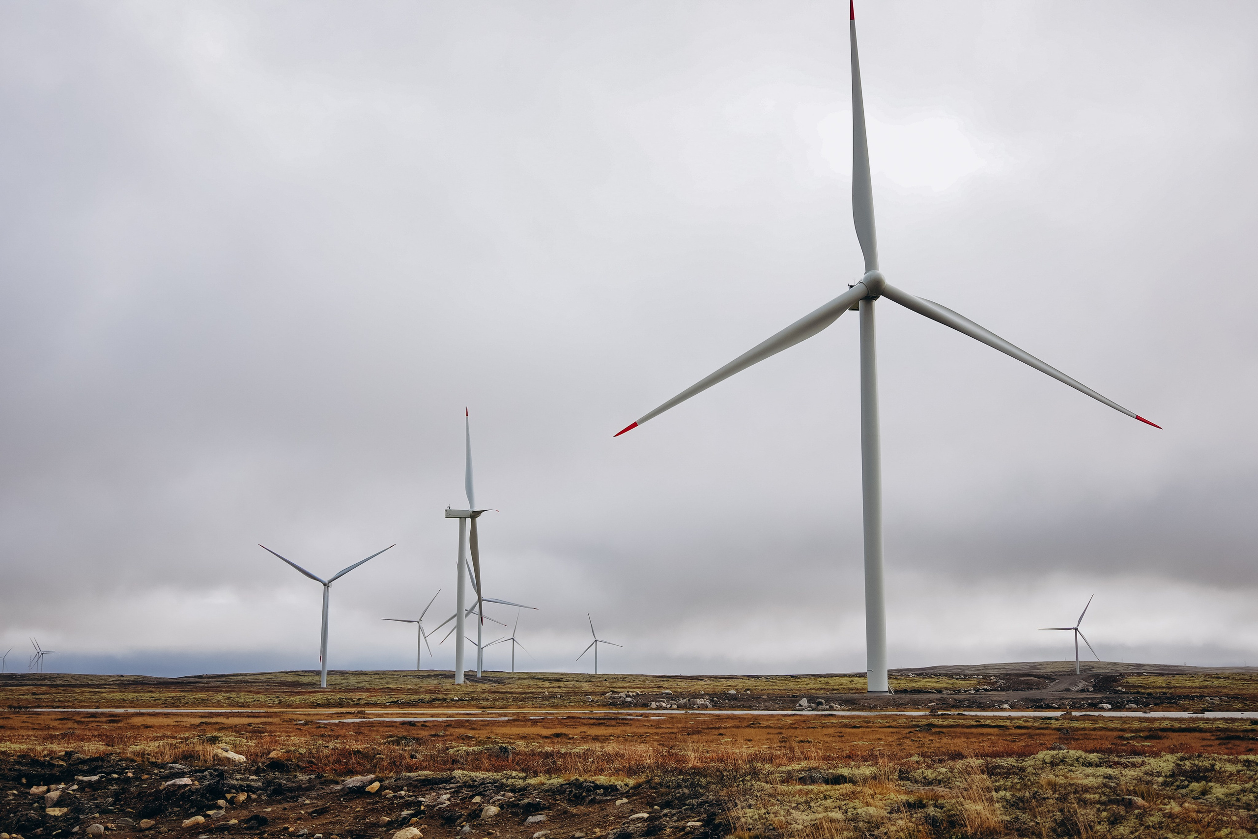 СЕВЕР. Event фотограф Степанова Александра