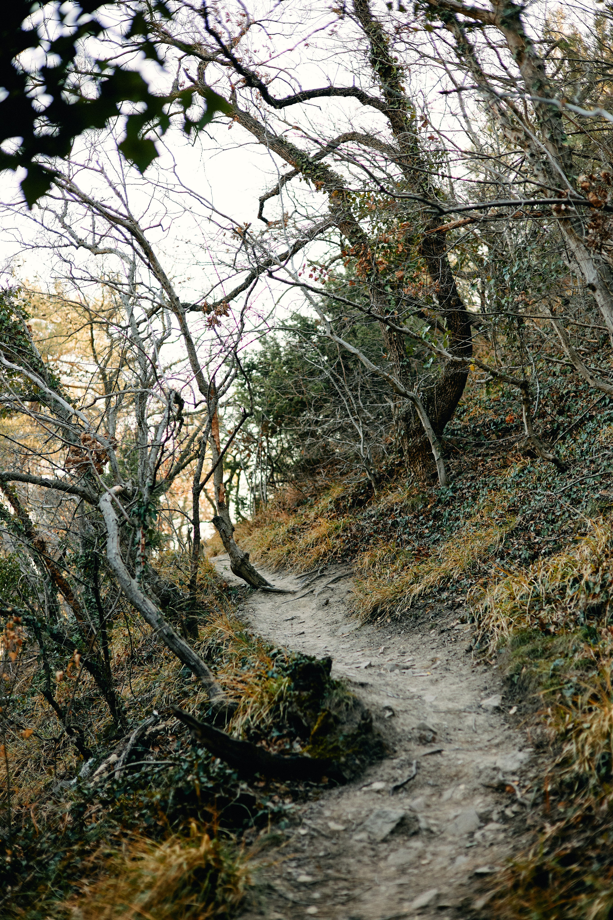 Юг России. Профессиональный Фотограф во Владимире, в Москве и в Суздале — Полина Романычева