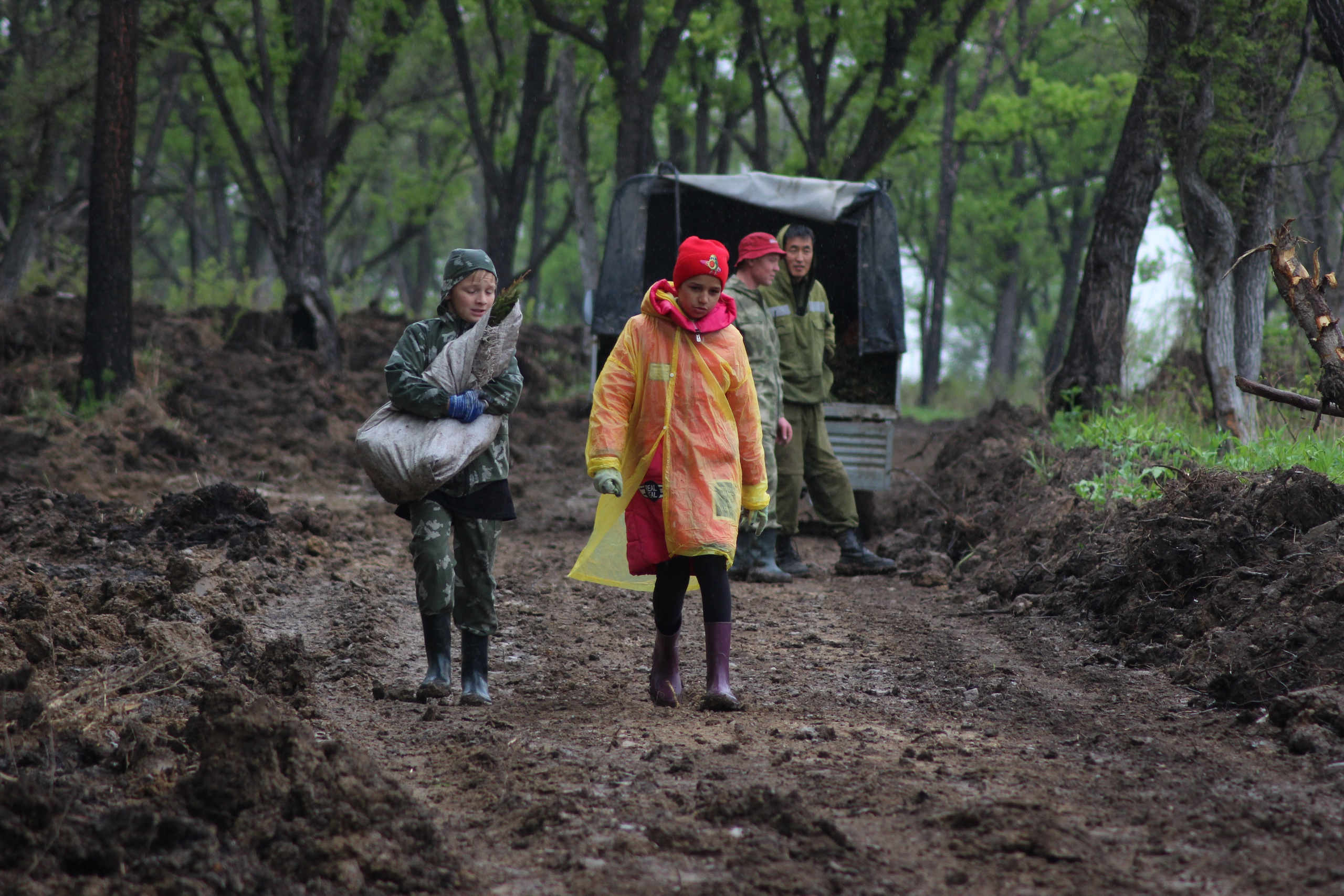 Siberian wellness «100 Га от нас — планете»