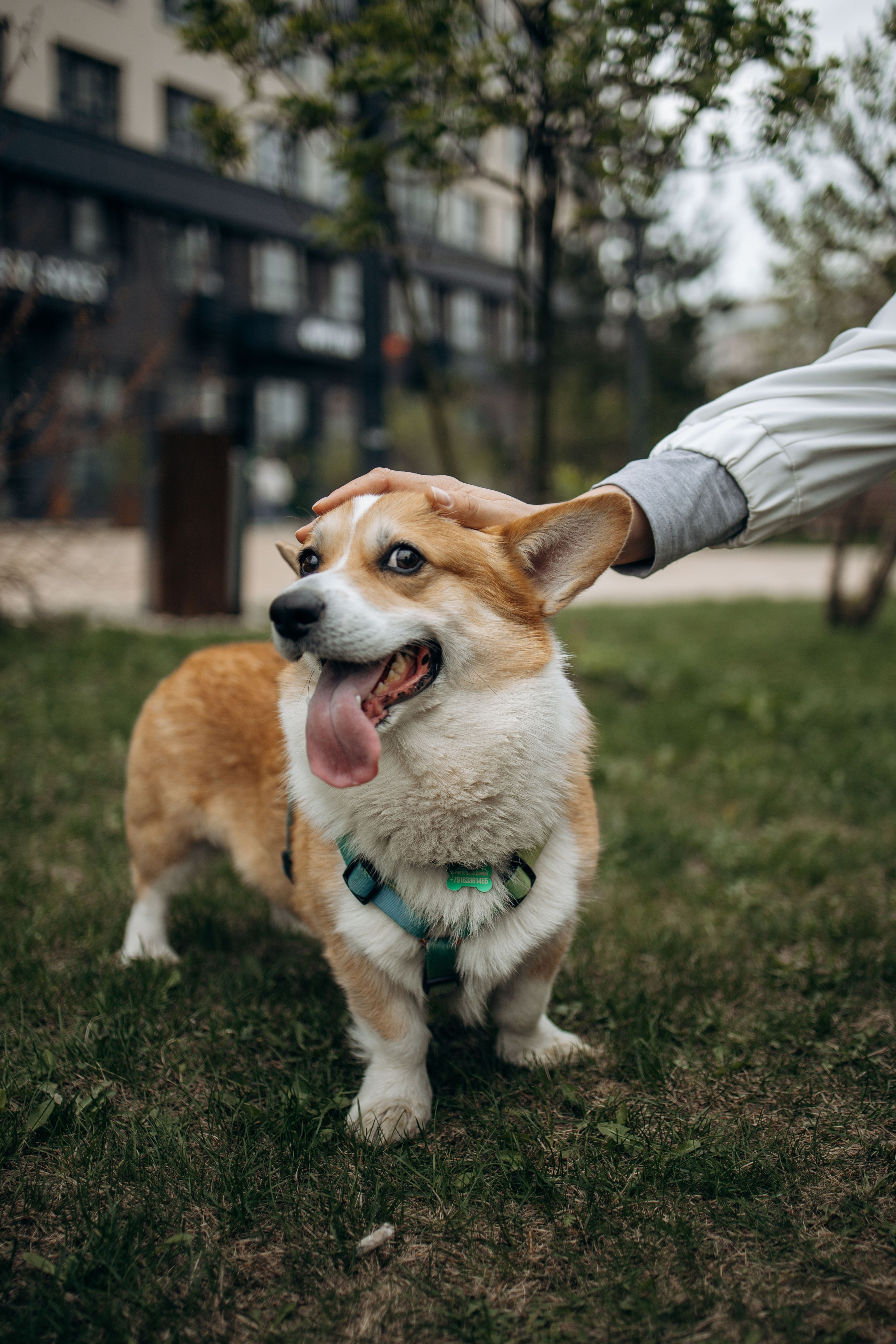 Екатерина и Альфи