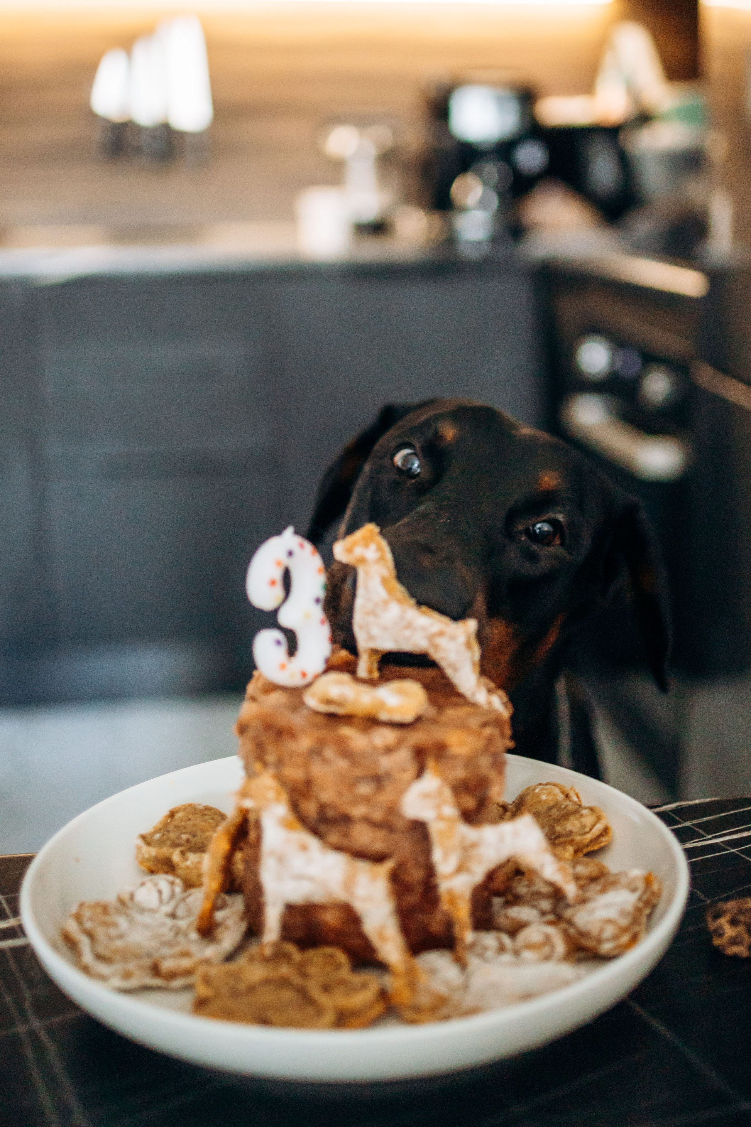 Катя и Конор