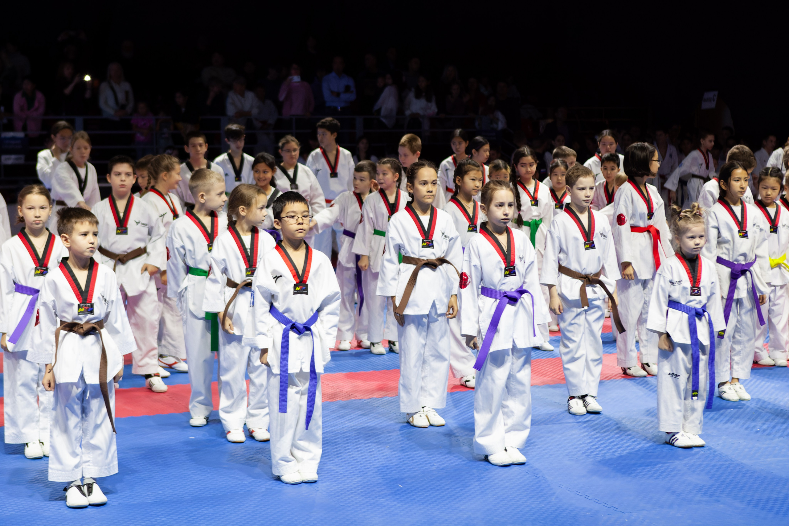 Дальневосточный фестиваль восточных единоборств. Кутузов Евгений Фотограф в Южно-Сахалинске