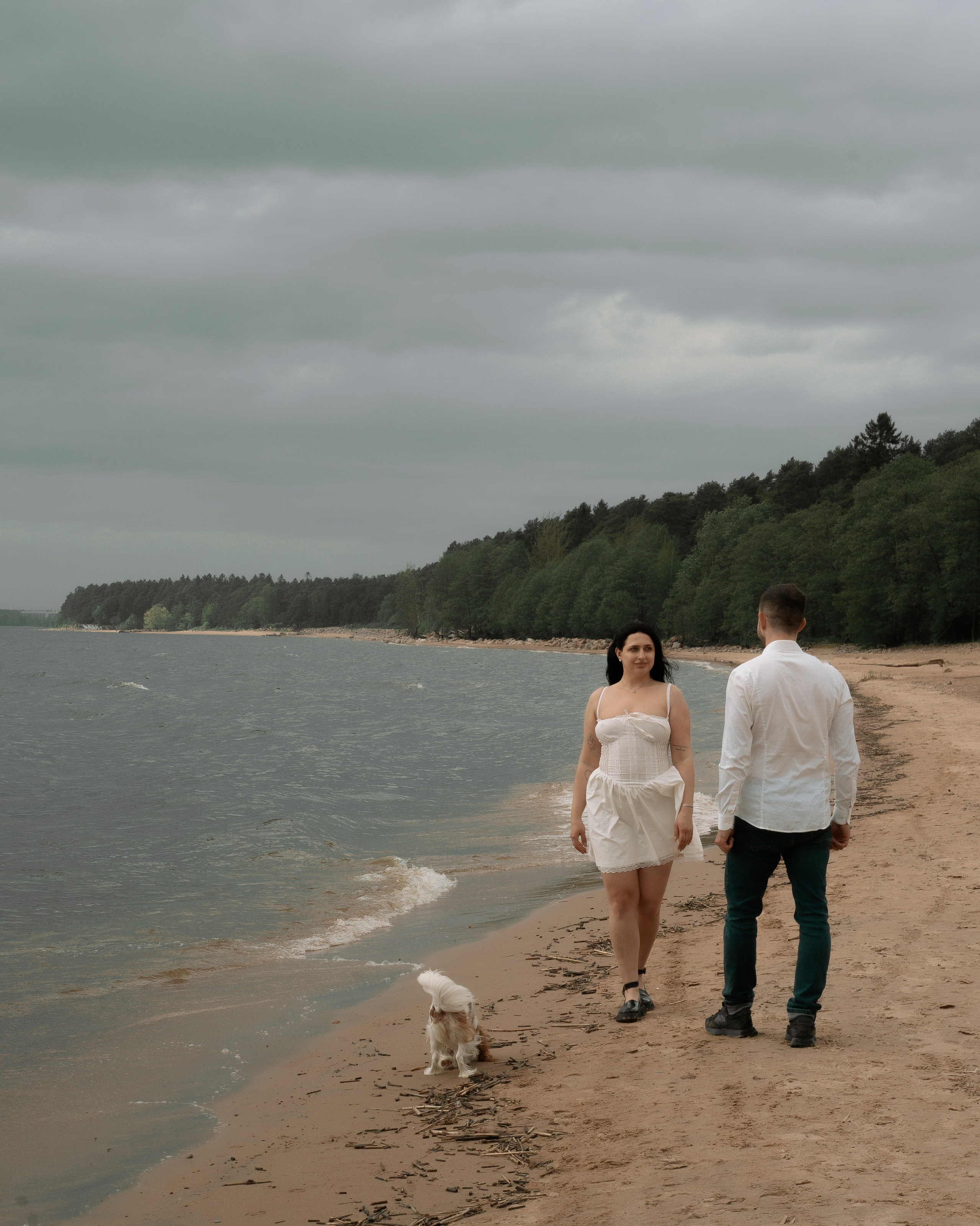 атмосферные свадебные кадры пары с собакой у воды
