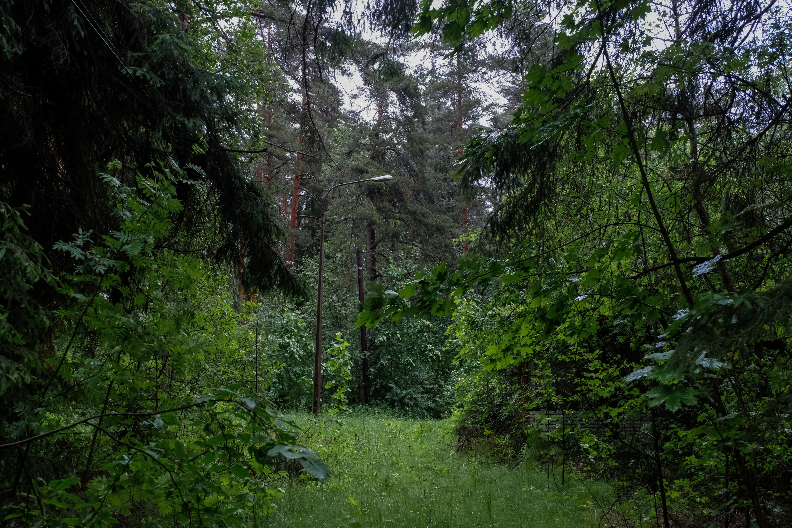 Пионерлагеря. Курочкина Софья