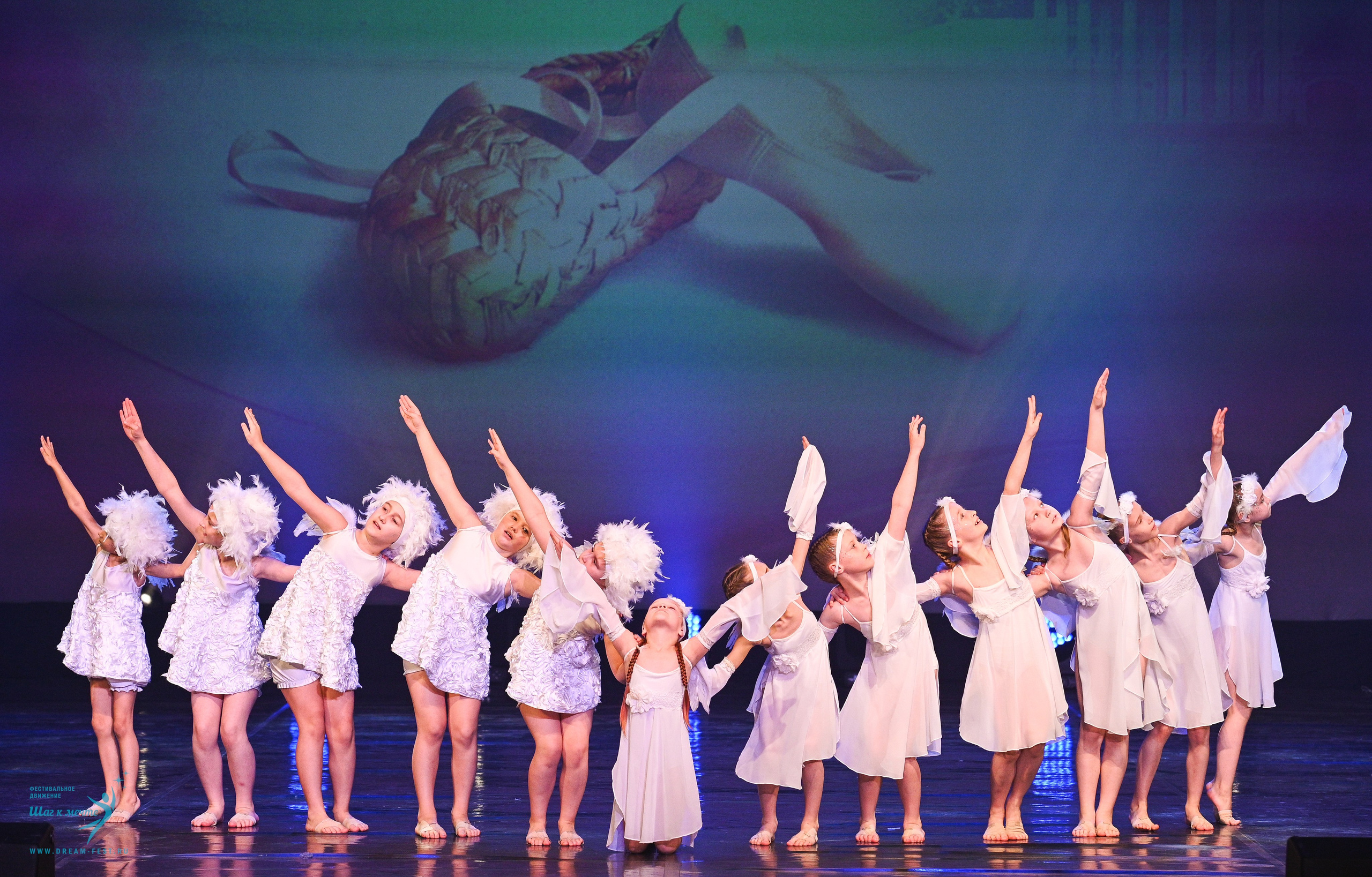 24.05.2025 «Мир под названием — Искусство танца» Фестивальное движение «Шаг к мечте» г. Кострома. Медиастудия Фото Концепт