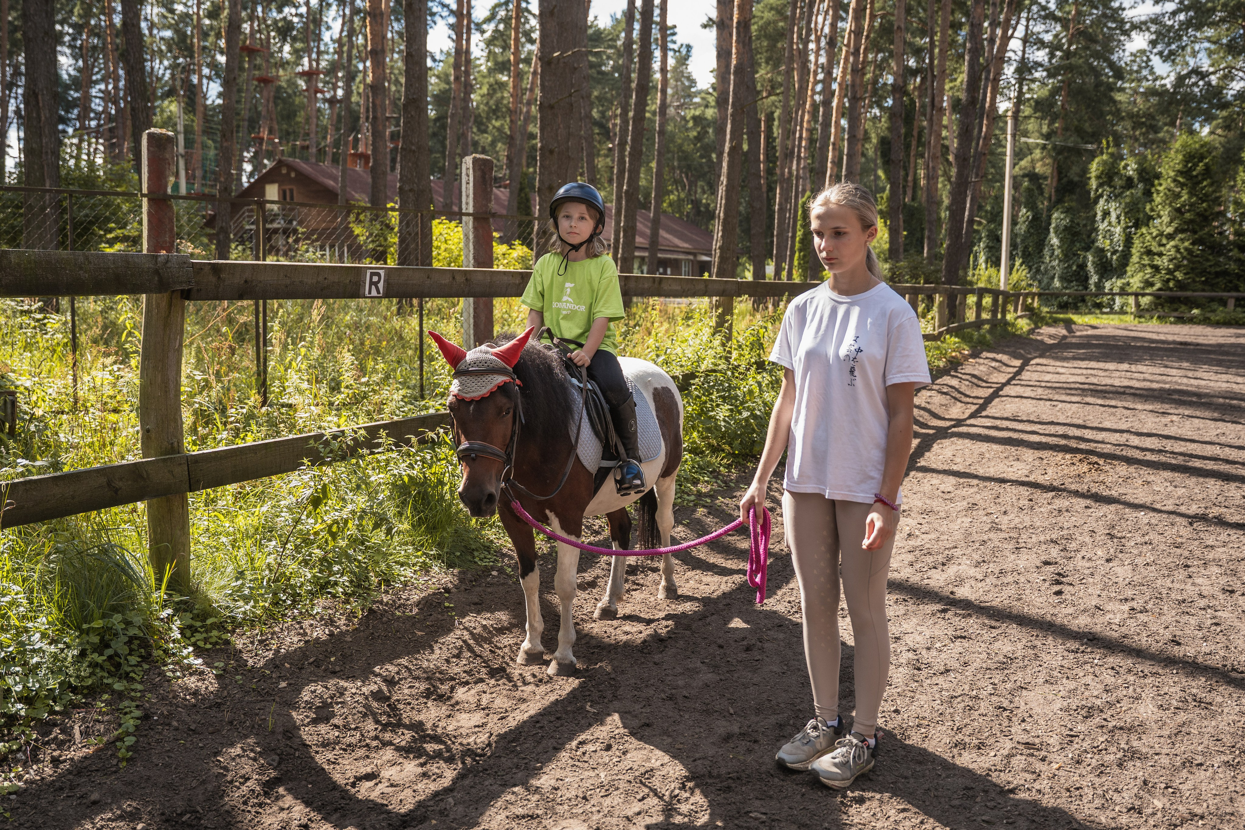 Конное занятие. Главная