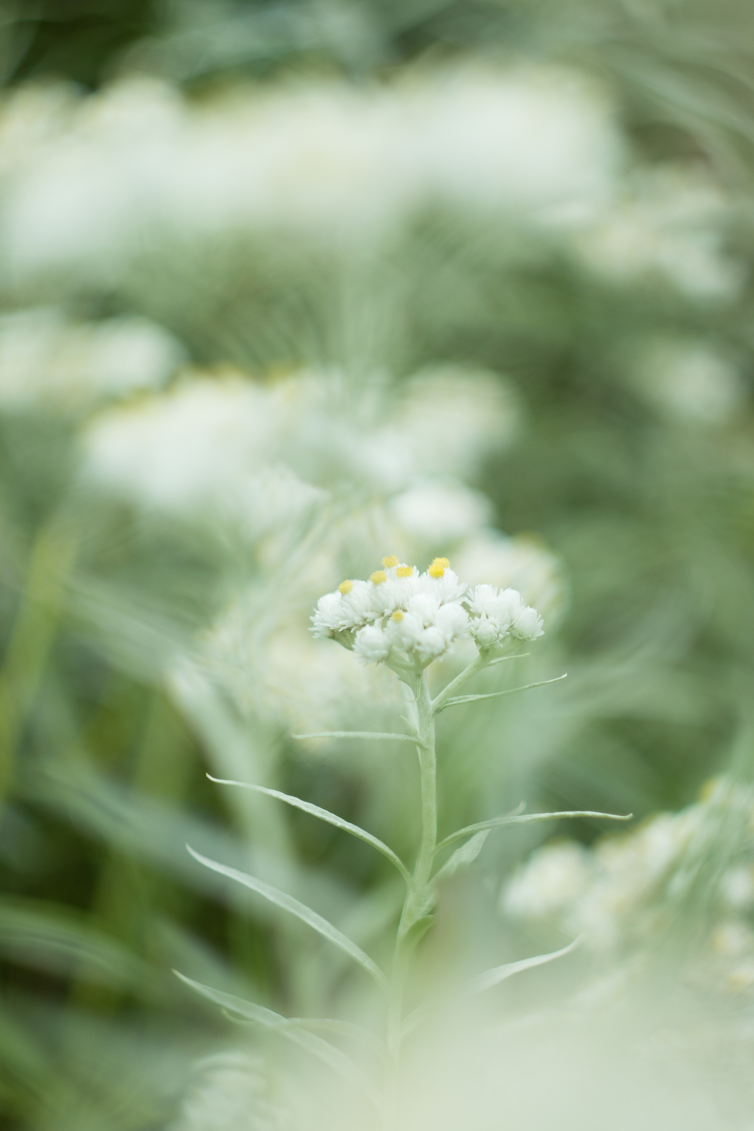 Моменты. Главная