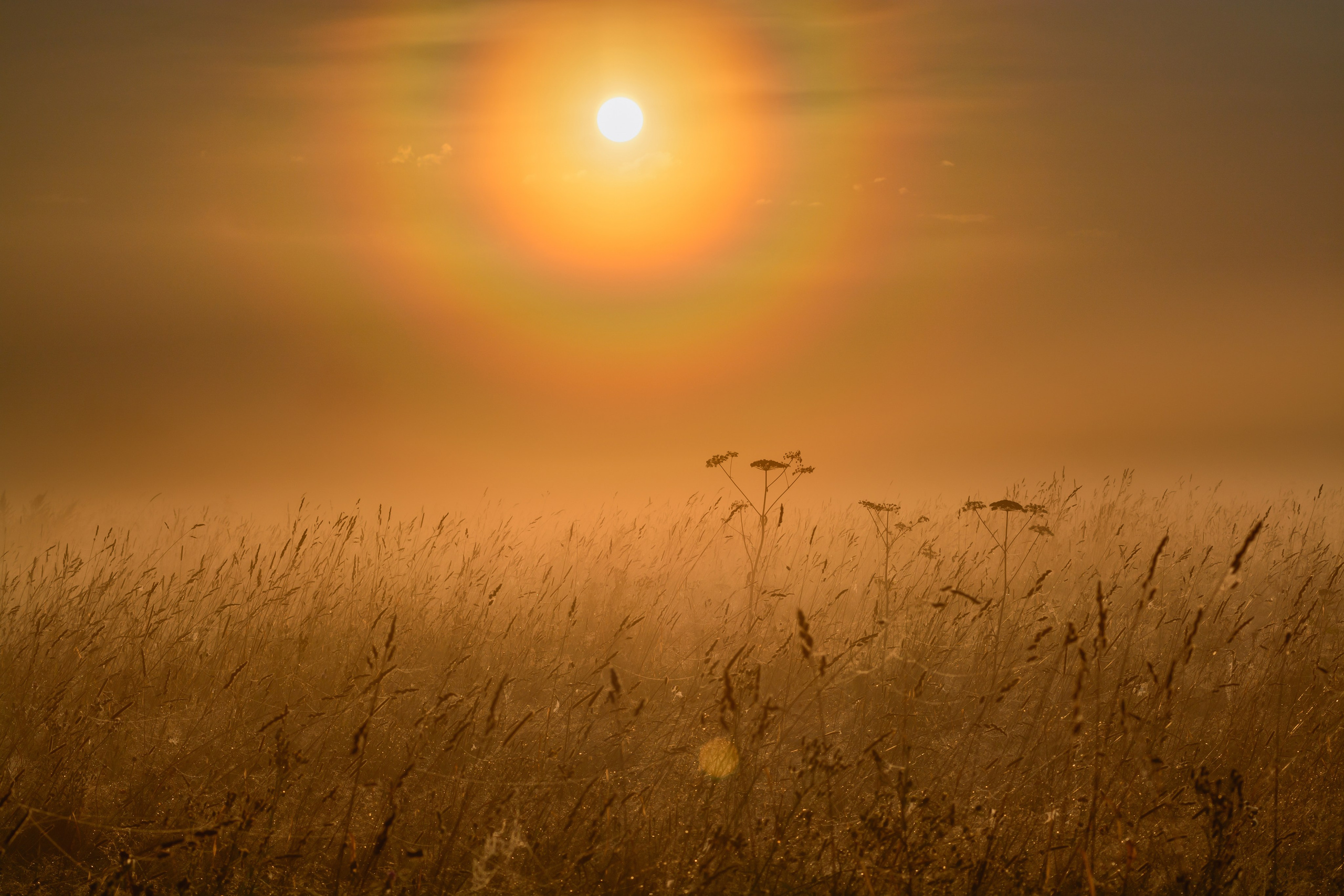 Пейзажи и штормчейзинг. Фото- видеограф в Москве Василий Васвормич