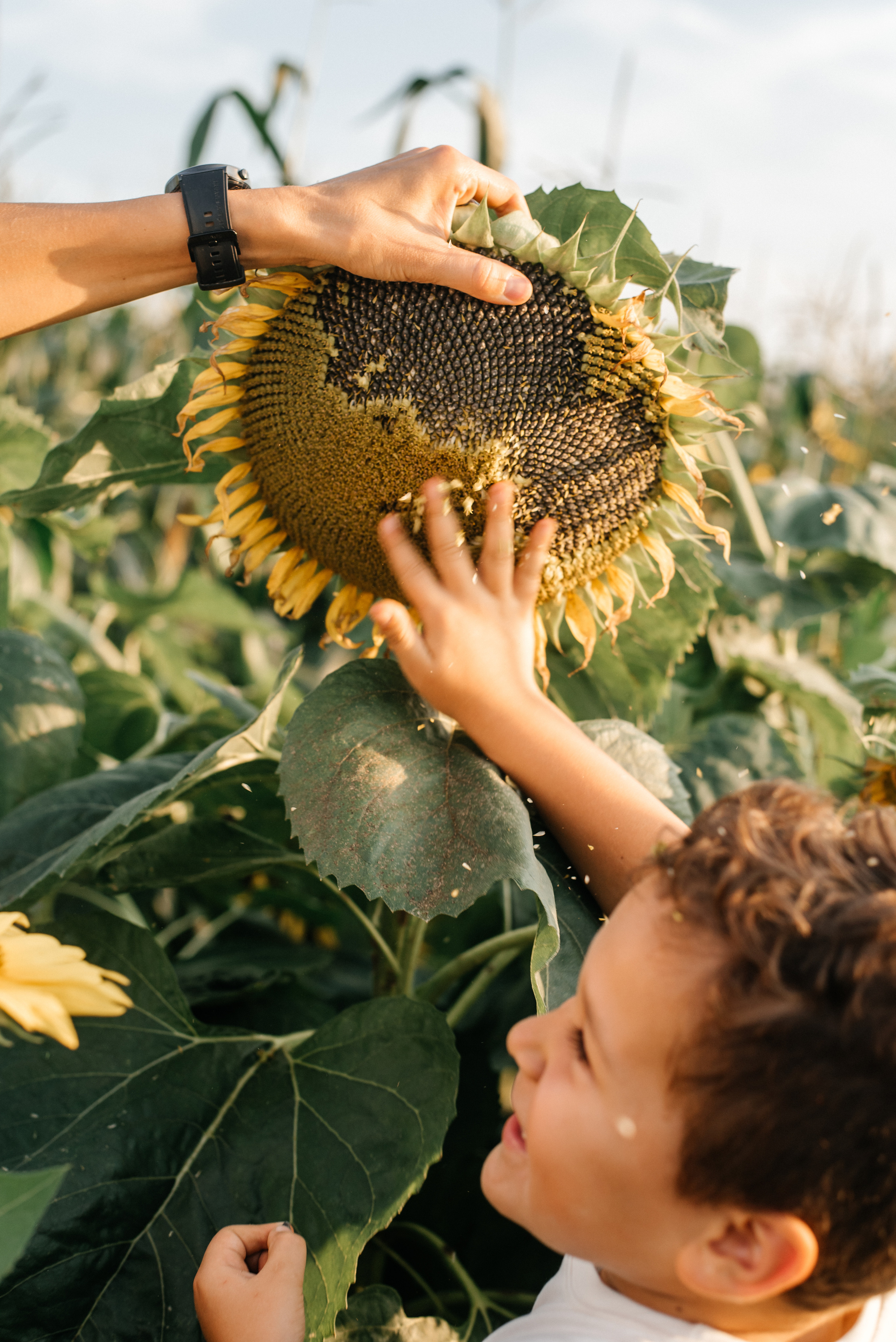 Аня+Даниил. Костюшко Кристина — семейный и свадебный фотограф в Минске