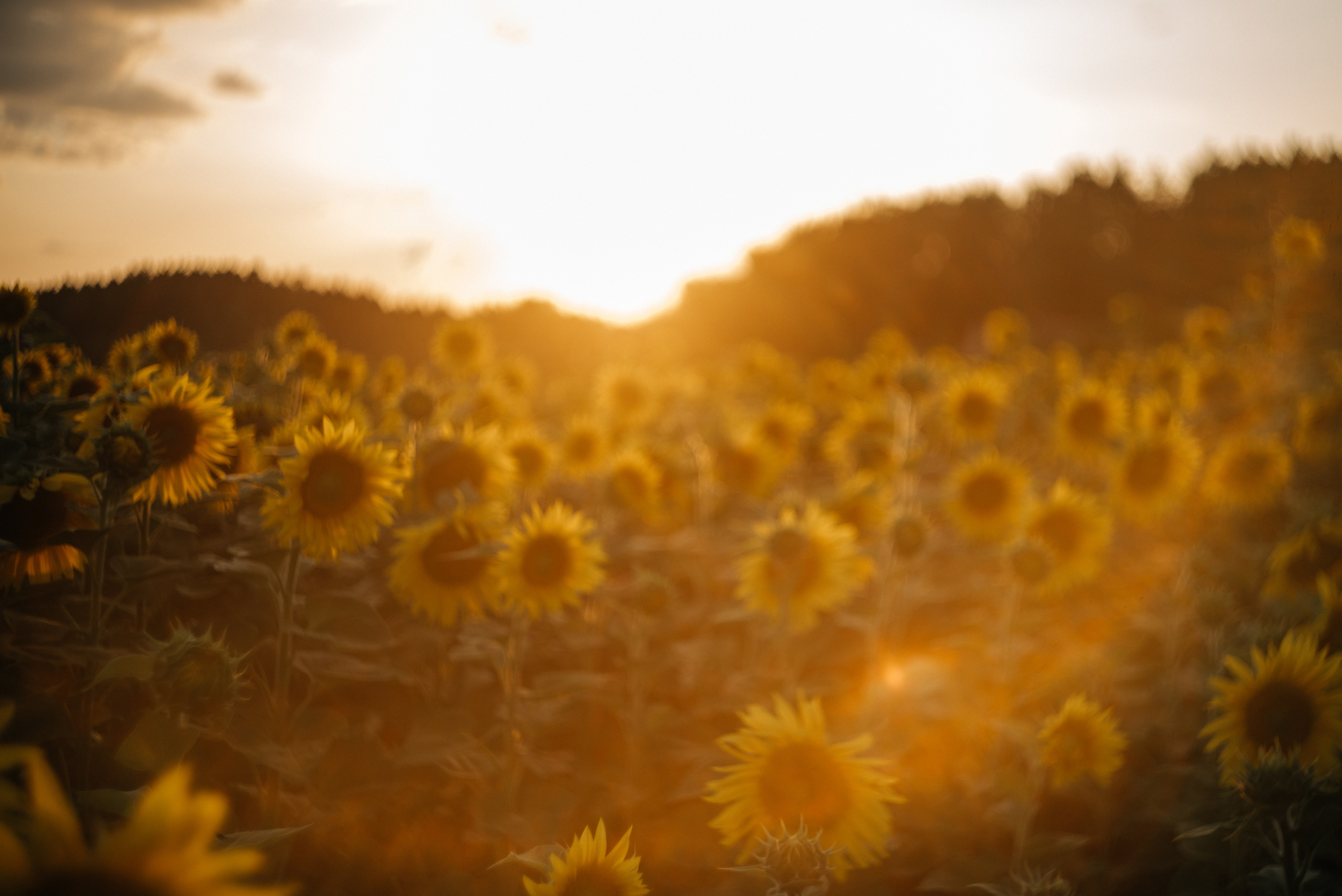 Настя+Нина. Костюшко Кристина — семейный и свадебный фотограф в Минске