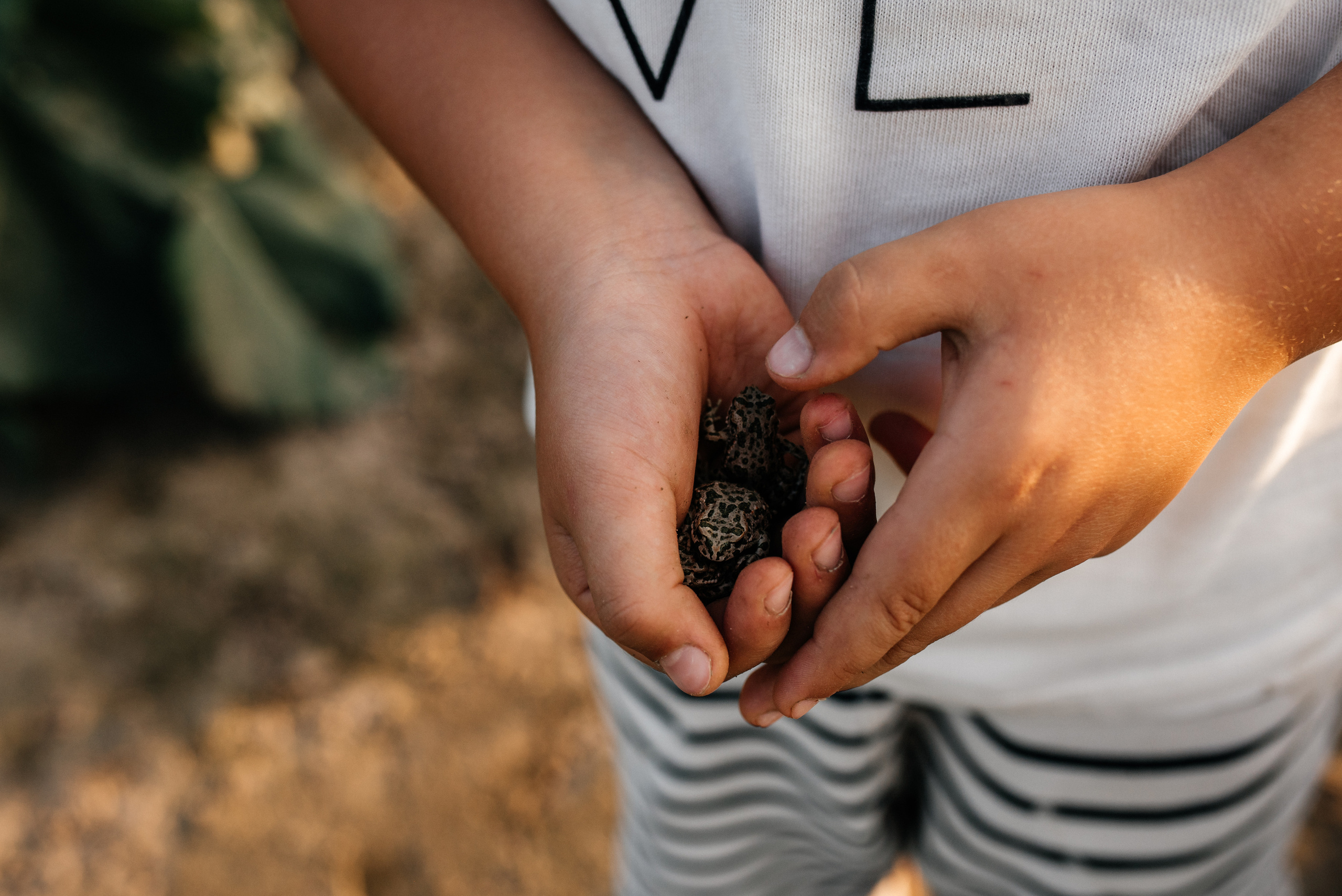 Аня+Даниил. Костюшко Кристина — семейный и свадебный фотограф в Минске