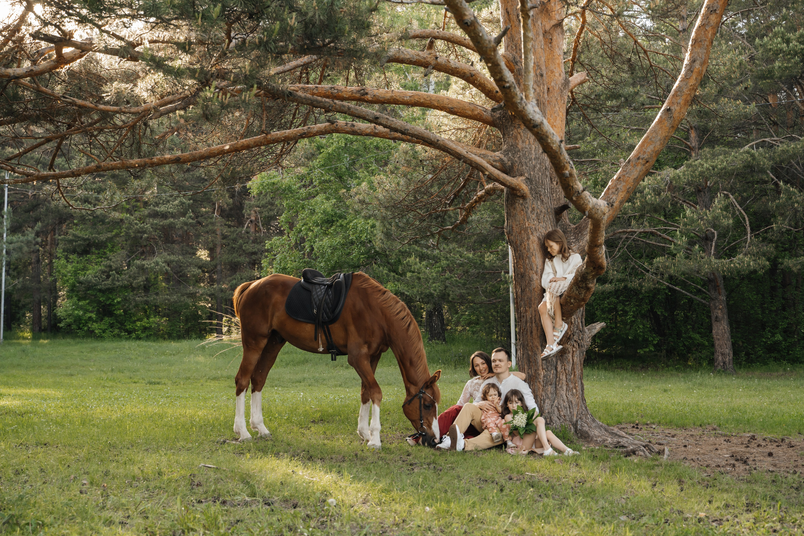Семейная история с лошадьми. Главная