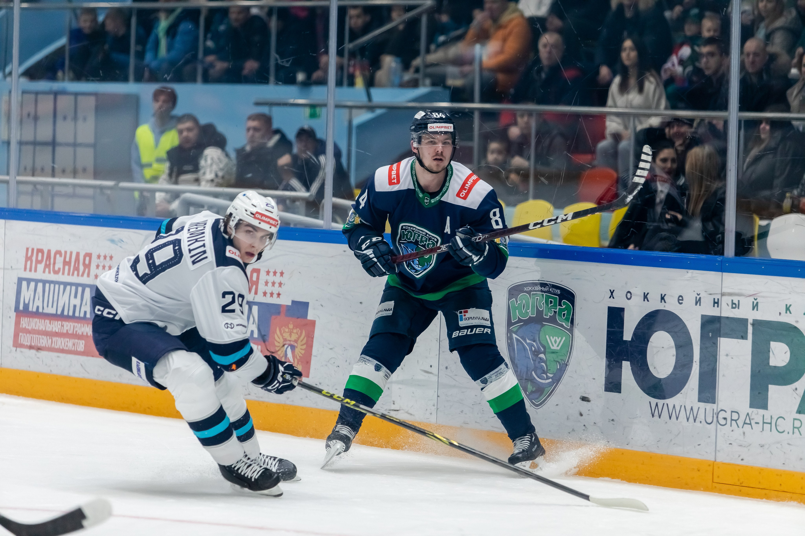 Хоккей. Фотограф Тимербаева Алина г. Сургут