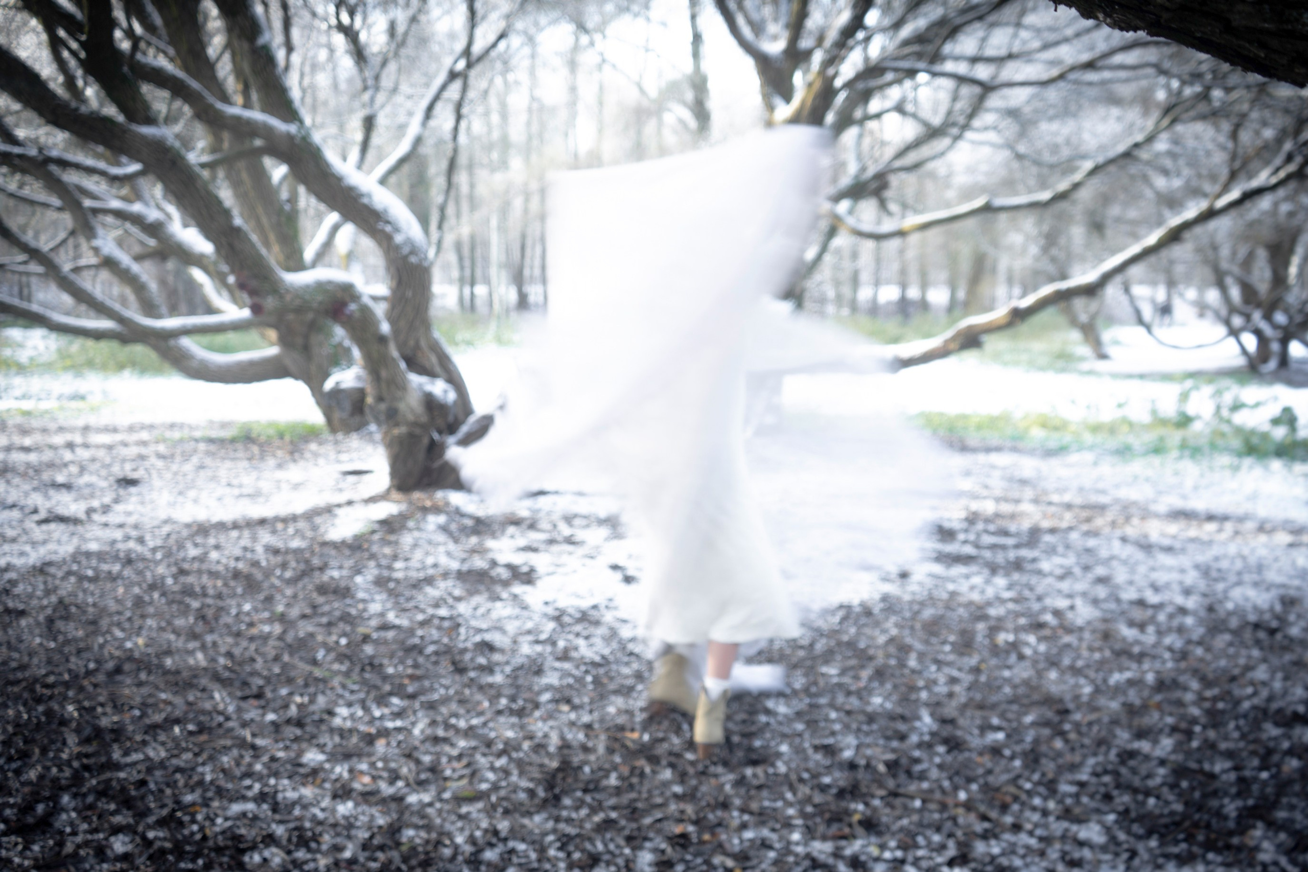 Зимний день