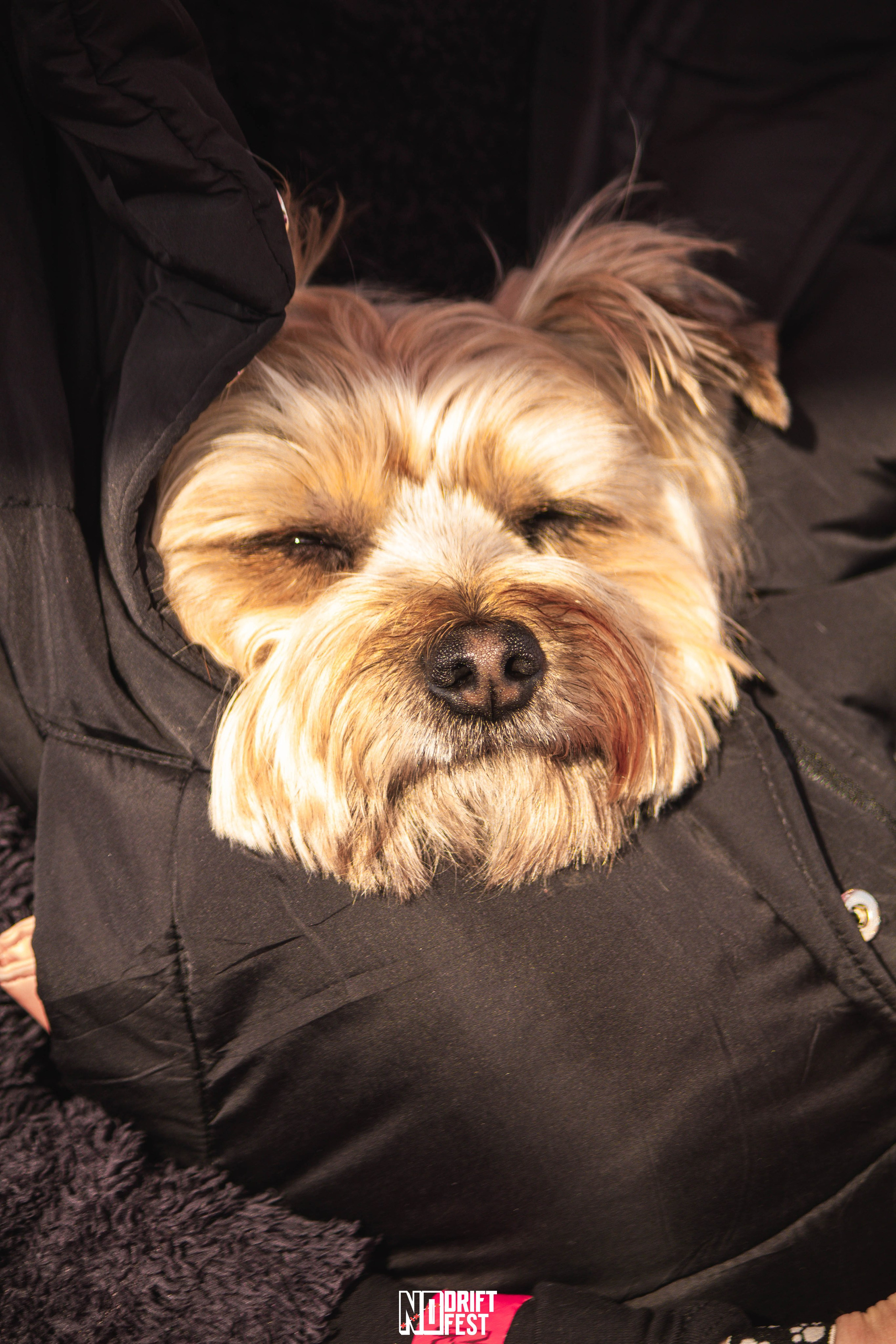 NDNF 03.05.25. Malenkyia