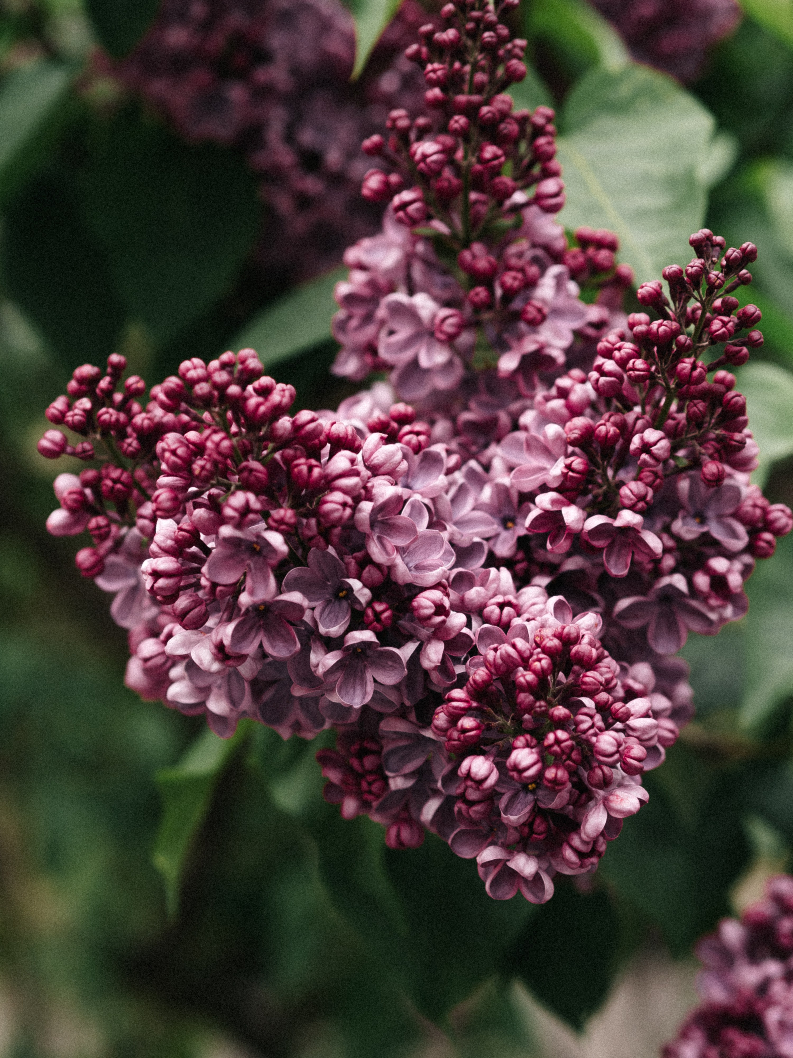 Весенняя прогулка в центре Москвы с Сашей. Фотограф-стилист в Москве Юлия Герман