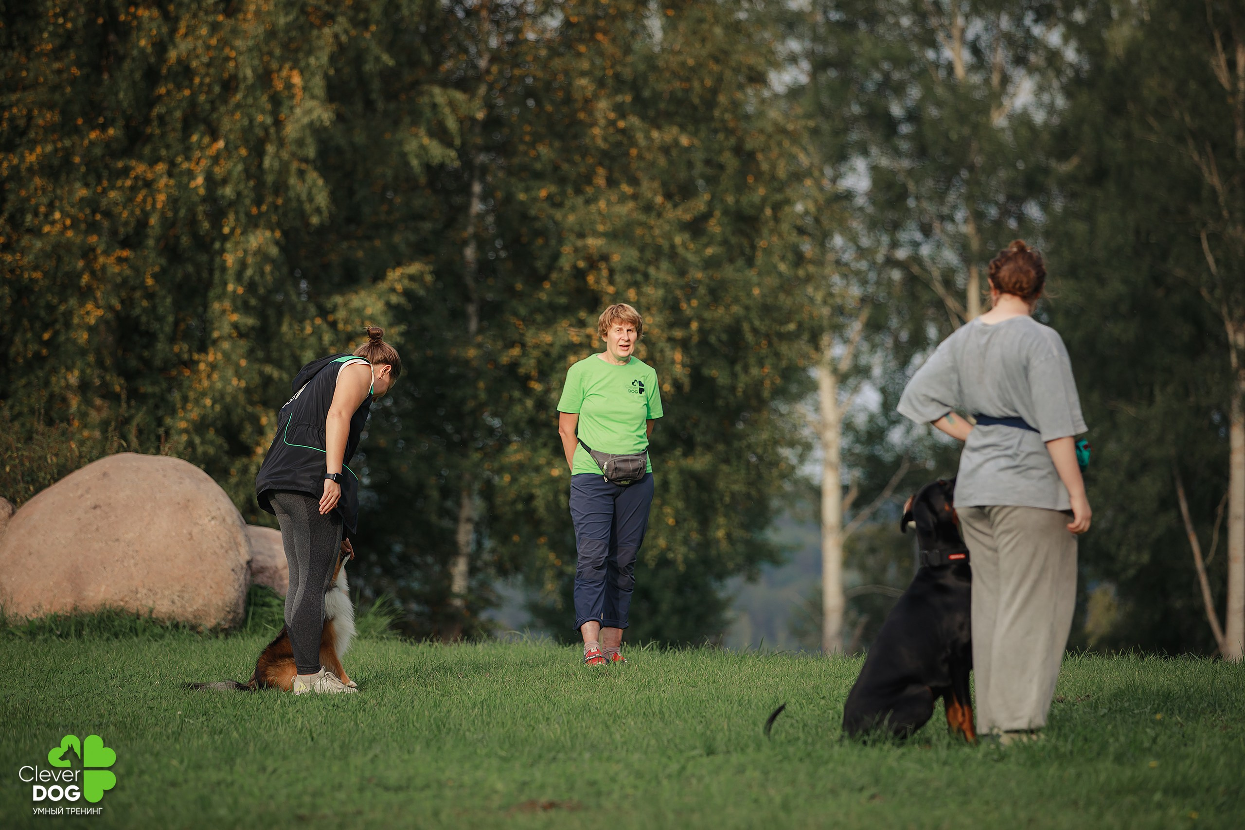 Кинологический лагерь CleverDog, 2024. Фотограф-анималист Mary Mart — Москва, Питер