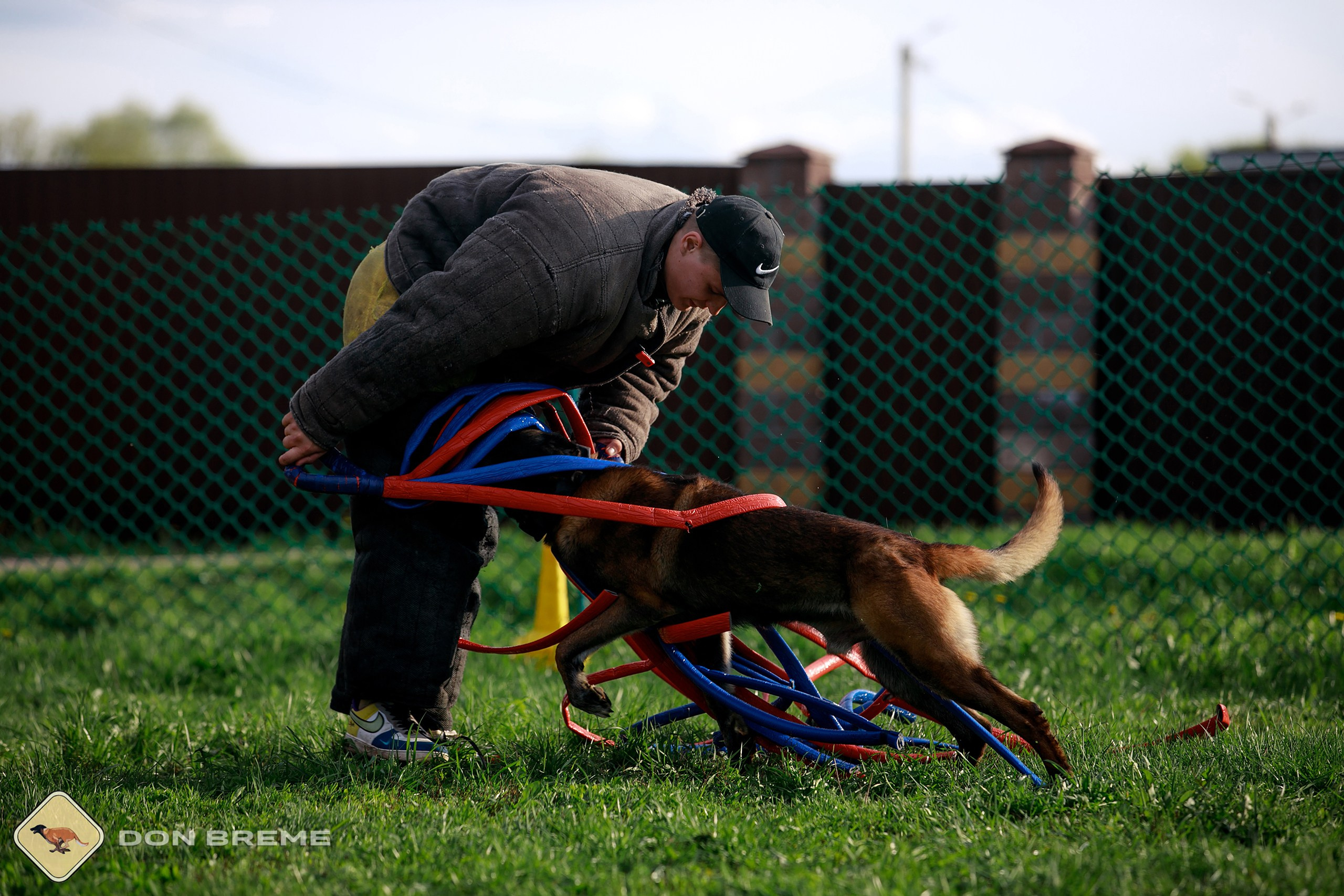 Семинар для фигурантов, день 2. Фотограф-анималист Mary Mart — Москва, Питер