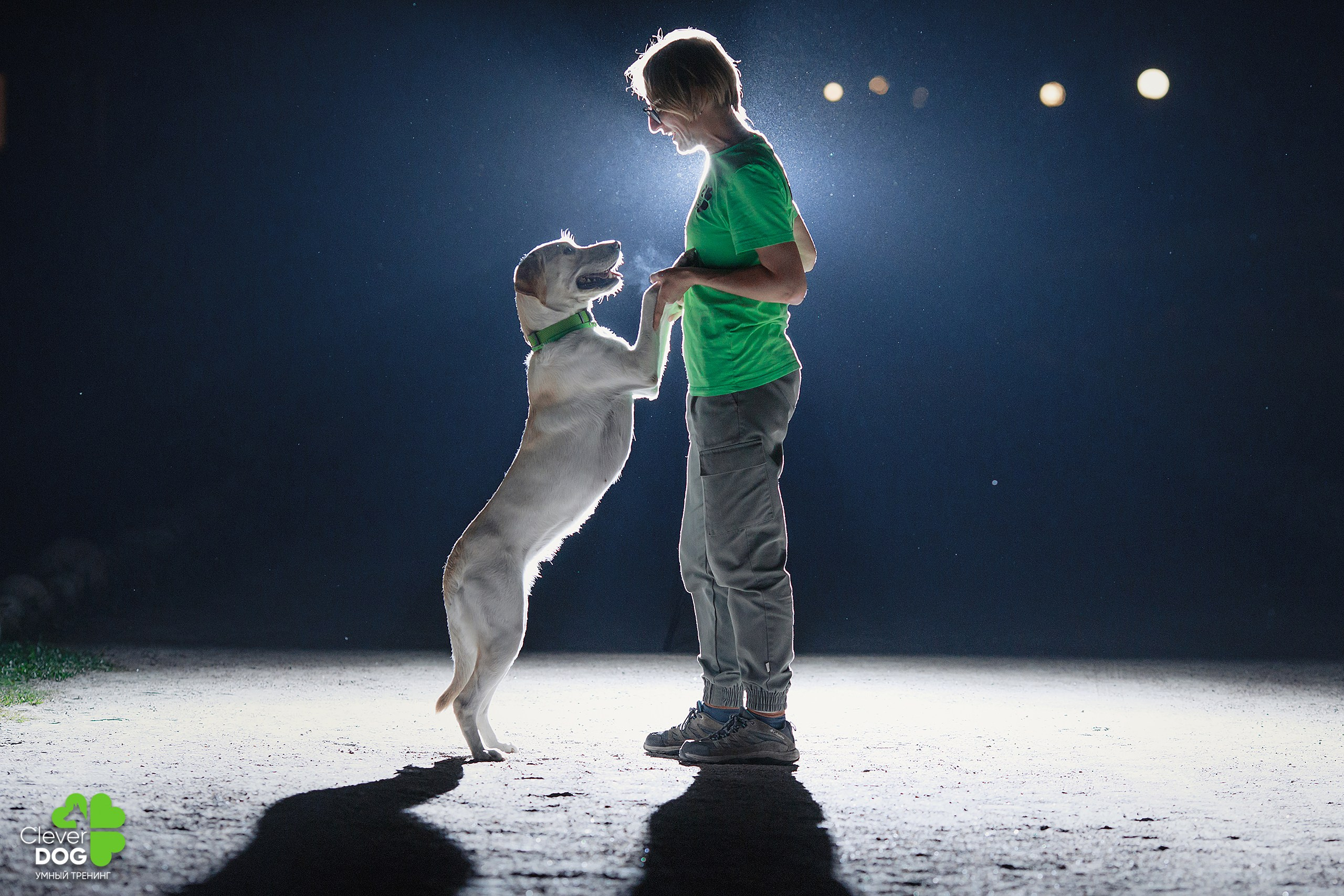 Кинологический лагерь CleverDog, 2024. Фотограф-анималист Mary Mart — Москва, Питер