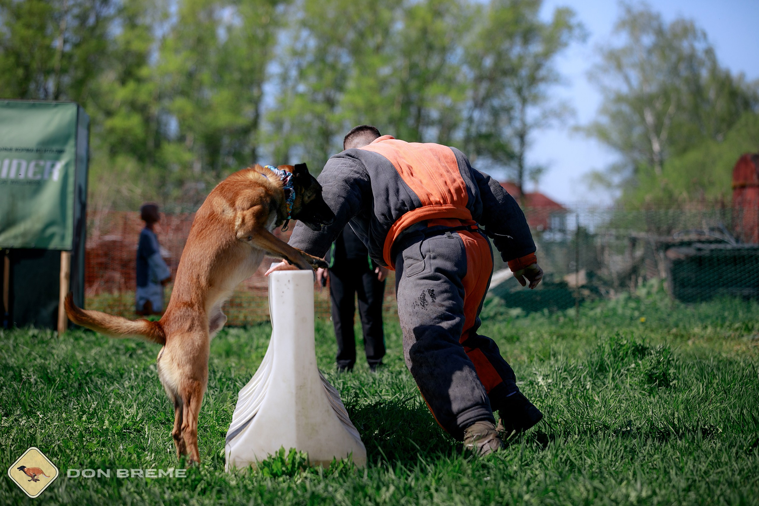 Семинар для фигурантов, день 3. Фотограф-анималист Mary Mart — Москва, Питер