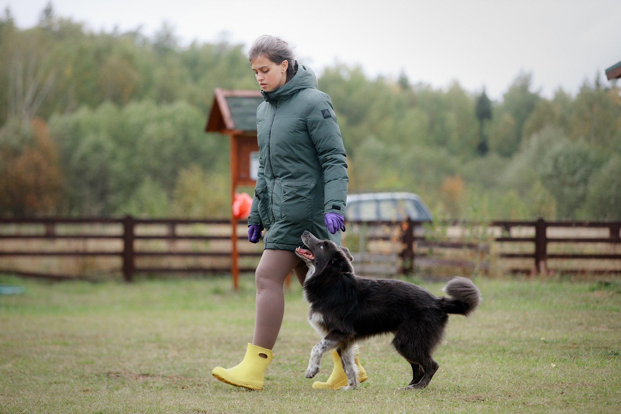 Лагерь по ОБД с Инной Баженовой. Фотограф-анималист Mary Mart — Москва, Питер