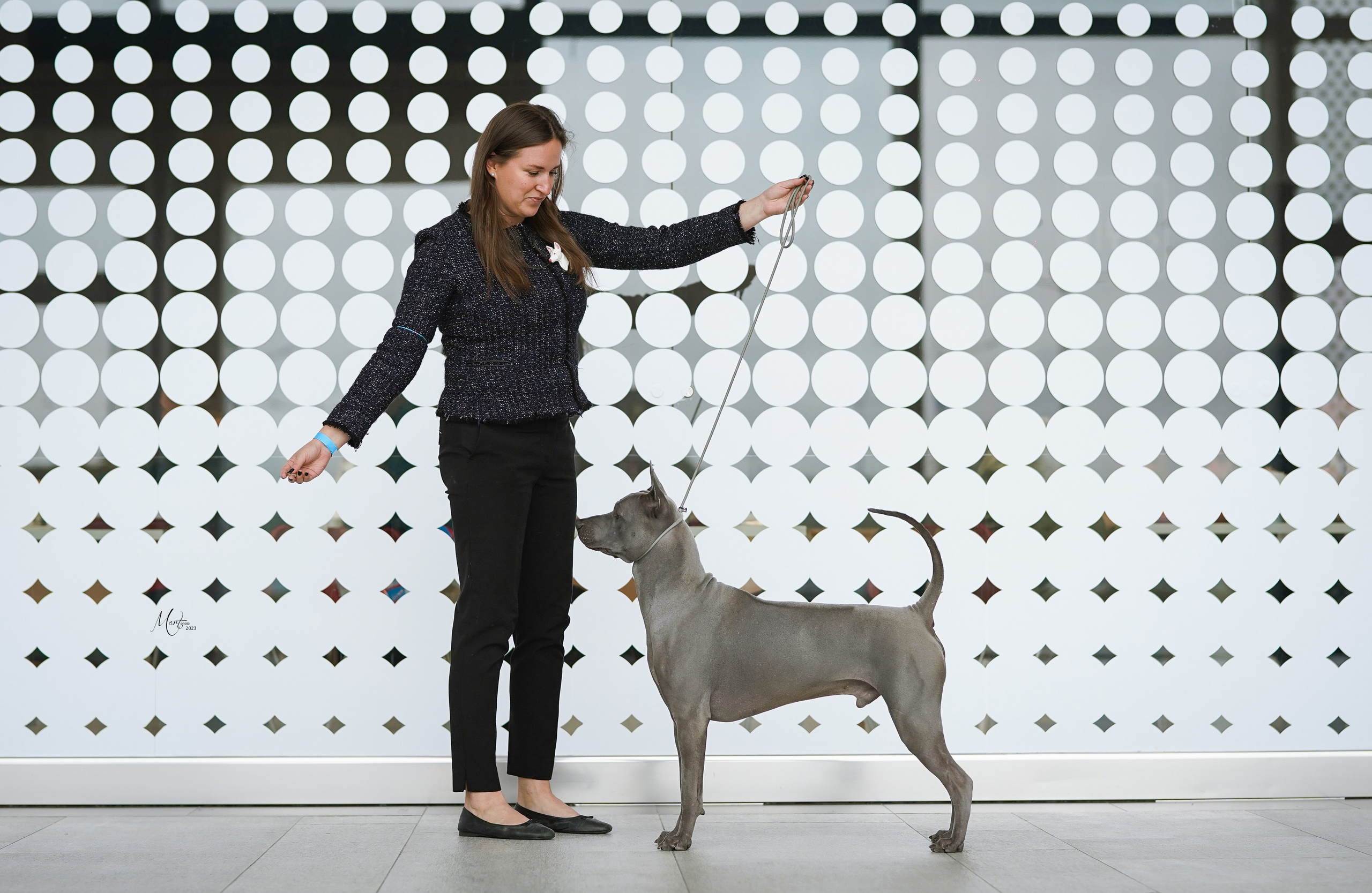 Выставки 2023. Фотограф-анималист в Санкт-Петербурге Яна Мартынова