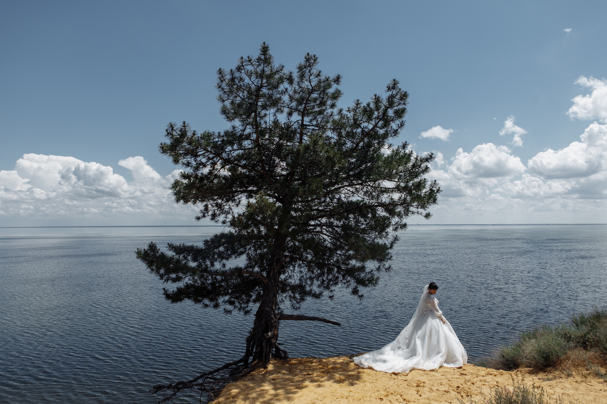 Свадьба. Фотограф Дмитрий Олейник в Волгодонске и Ростове