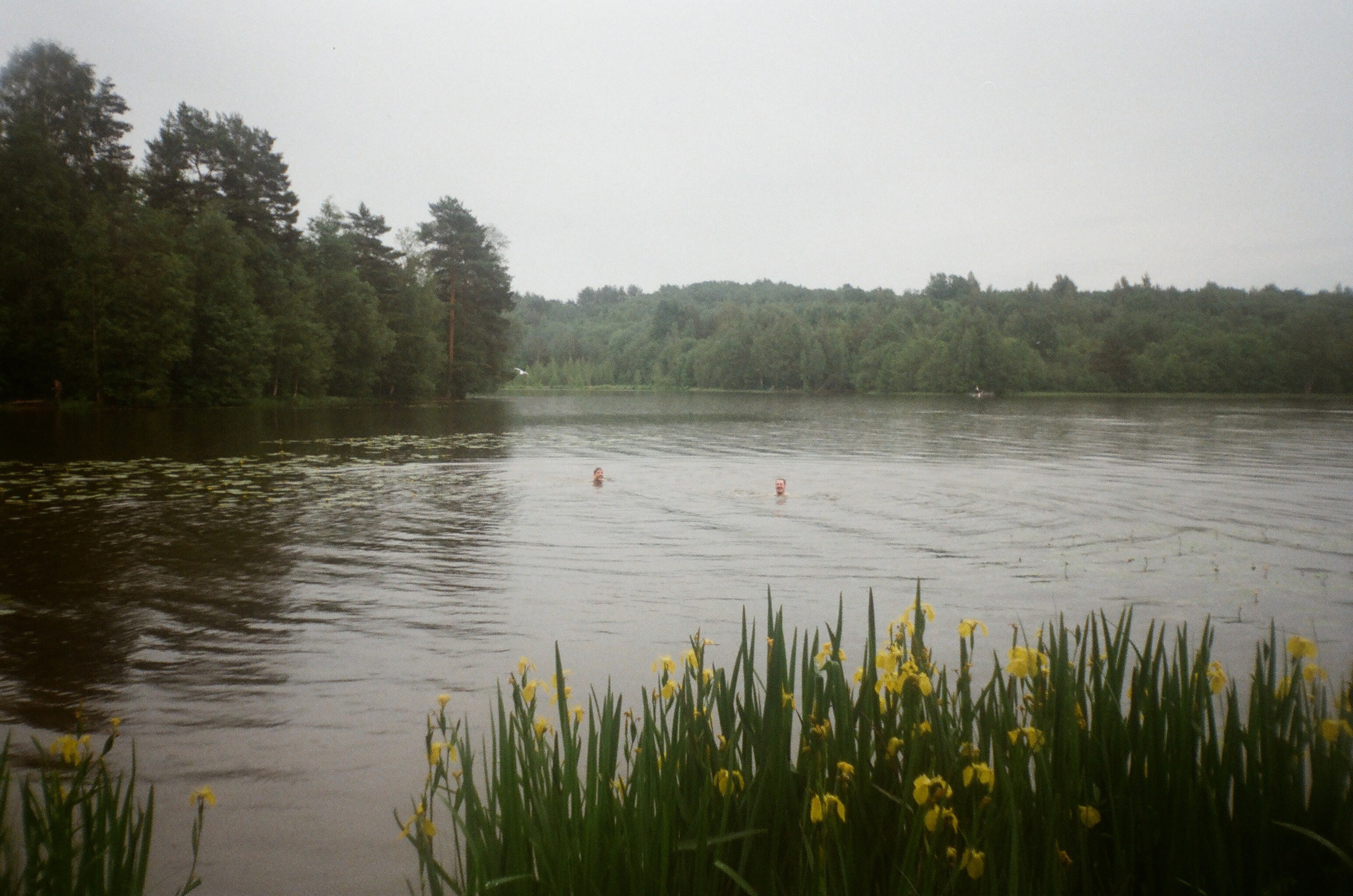 Плёнка. Человек в Шляпе