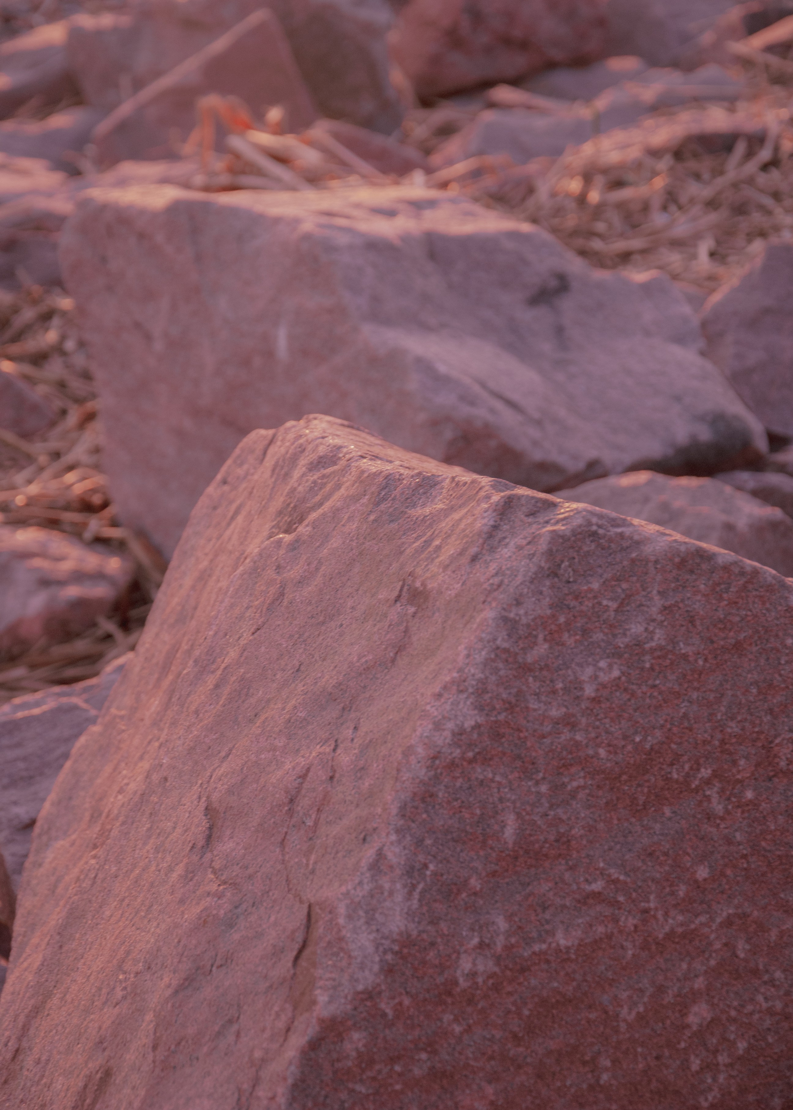 Закат/Залив. Портретный фотограф DanilNabody