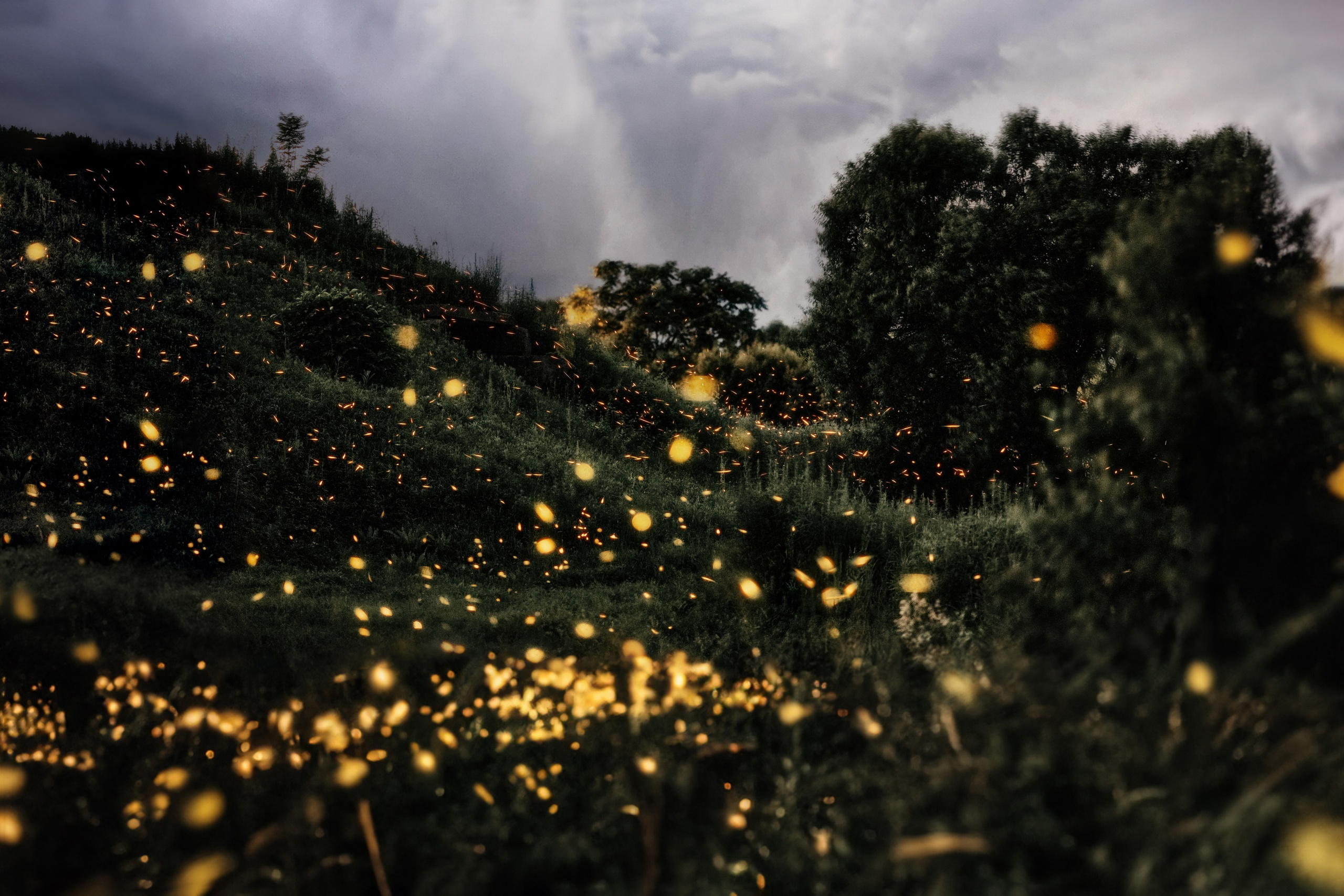 Красные скалы острова Шкота — удачная локация для фото