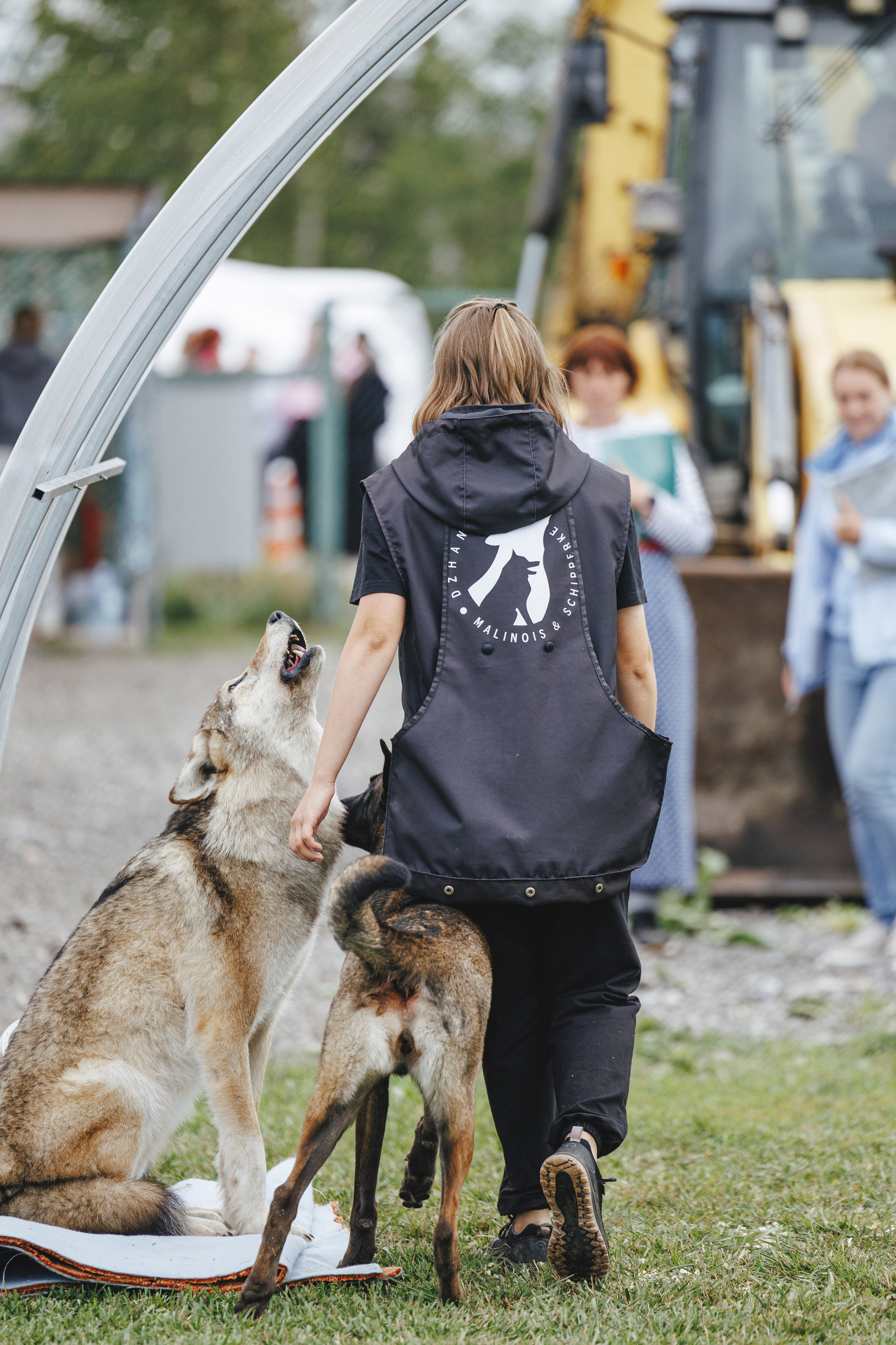 08.08.25-10.08.25 ЧР по мондьорингу г. Вологда. Фотограф-анималист Анна Маринич
