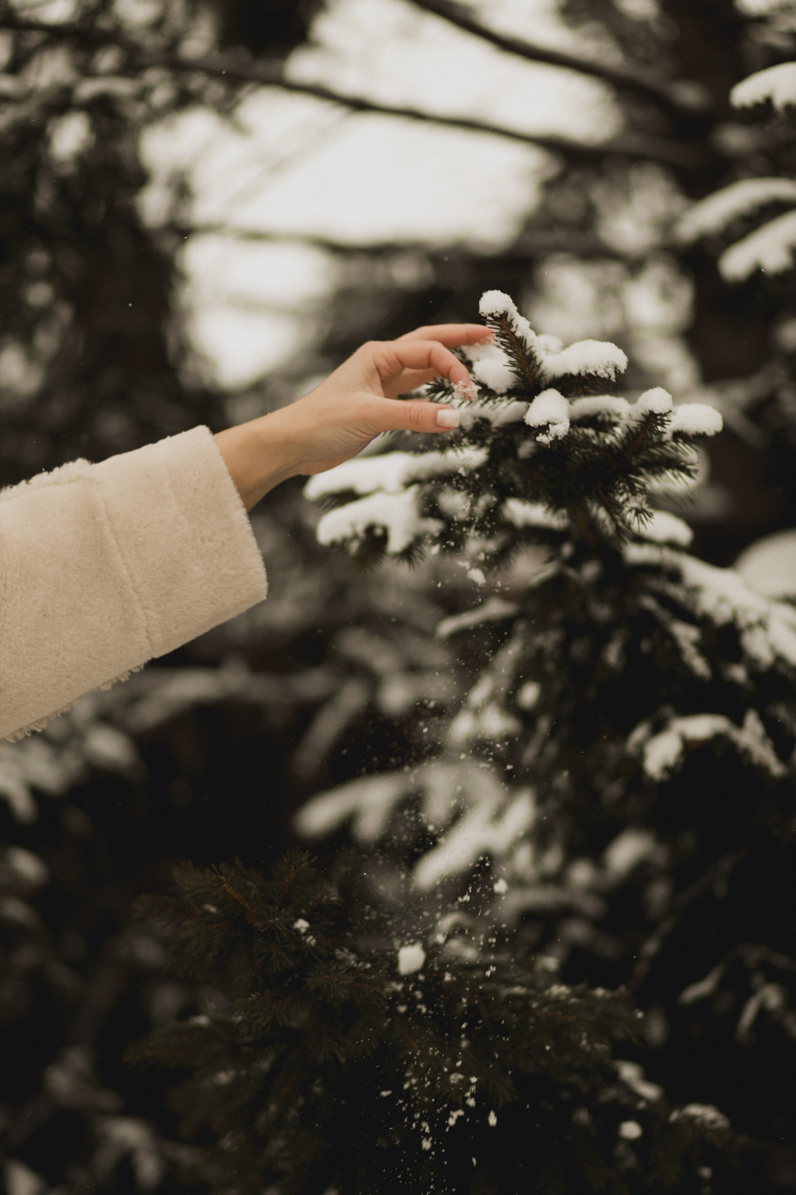 Анна. Семейный и свадебный фотограф Лилия Матонина | Ангарск, Иркутск, Усолье-Сибирское, Байкал (Листвянка, Ольхон), Иркутская область
