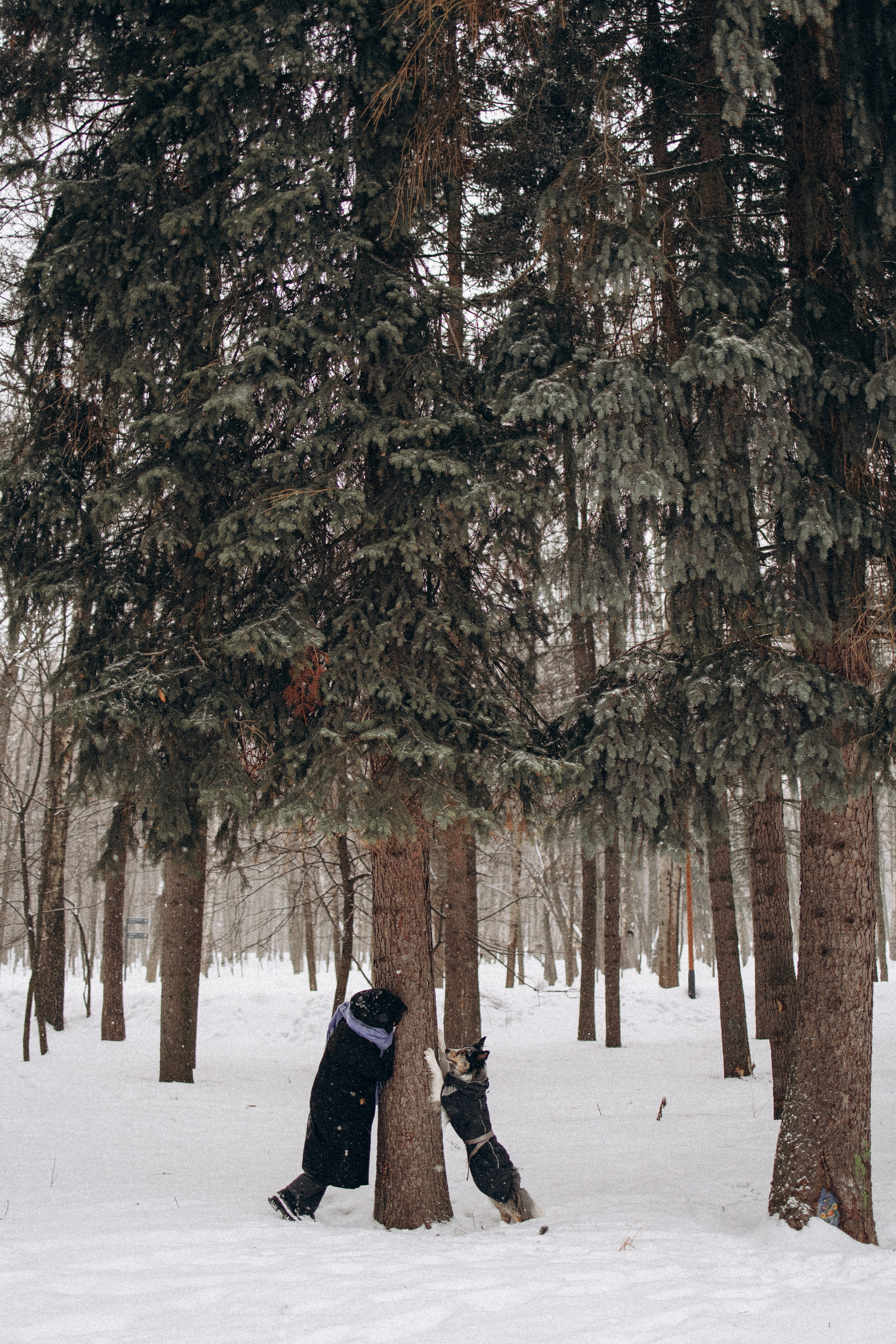 Настя и Тор. Фотораф — анималист Мария Шистка
