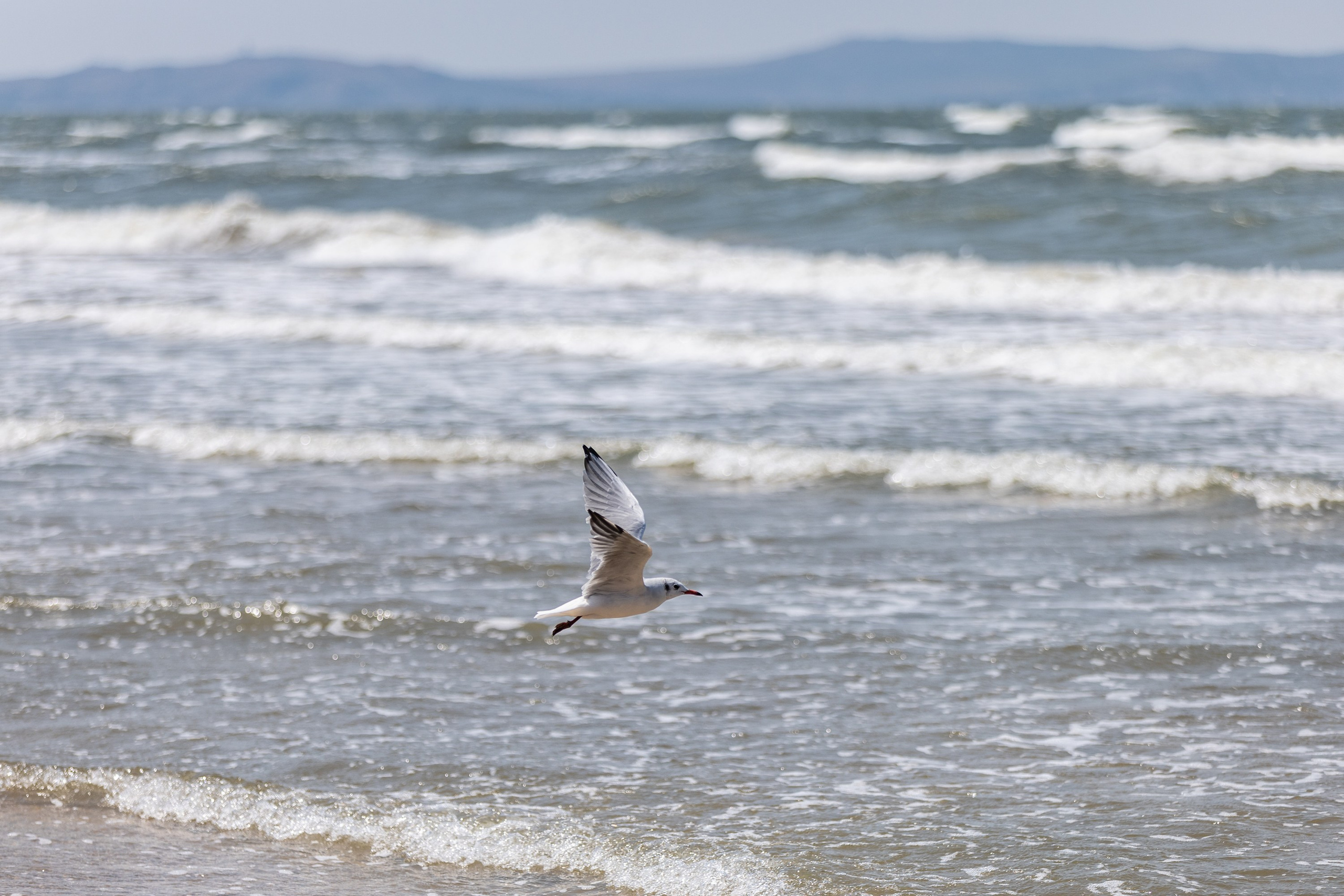 Азовское море. Фотограф Владимир Охрименко