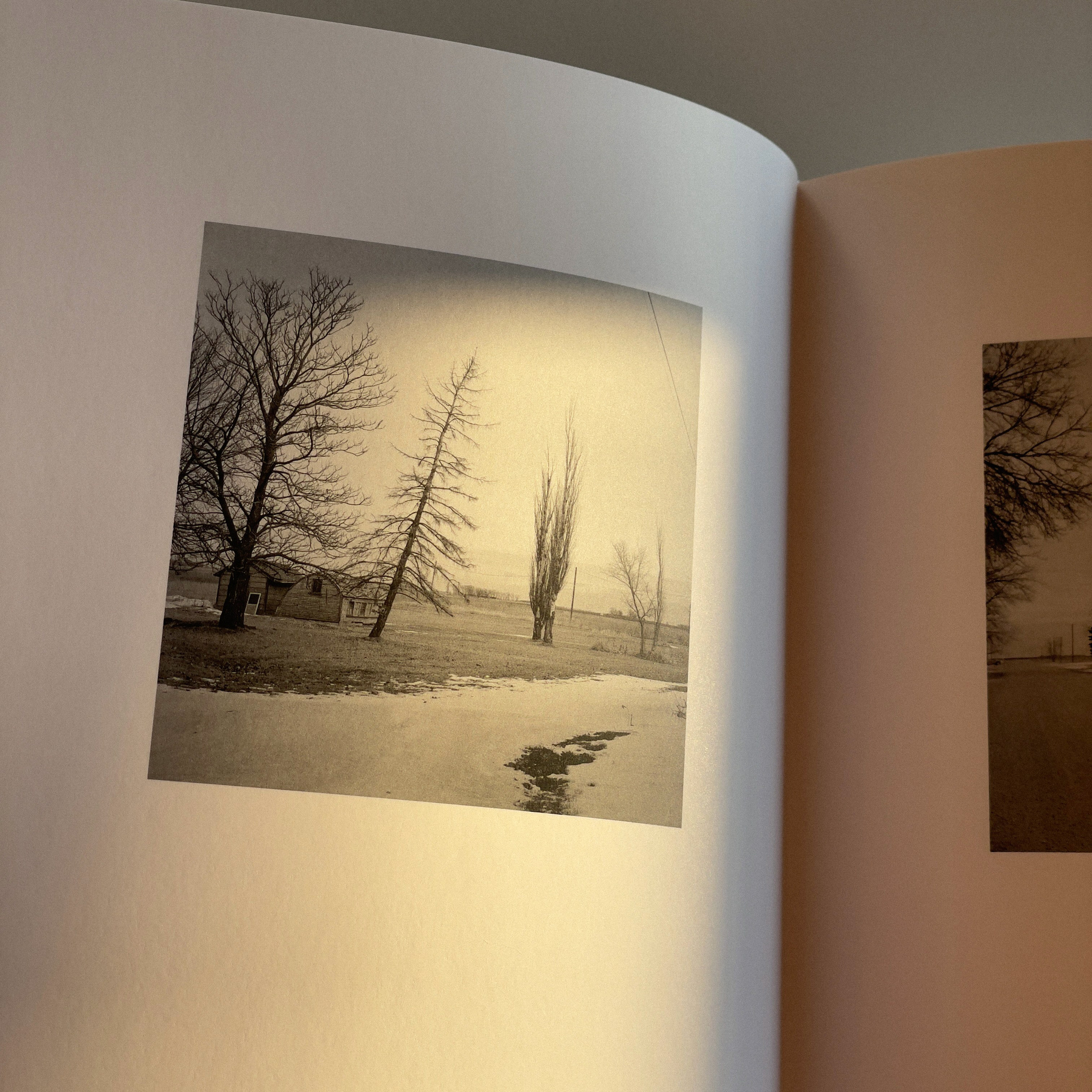 Фотокнижная библиотека Глеба Сергеева. Фотограф и исследователь фотографии из Санкт-Петербурга Елизавета Веприцкая