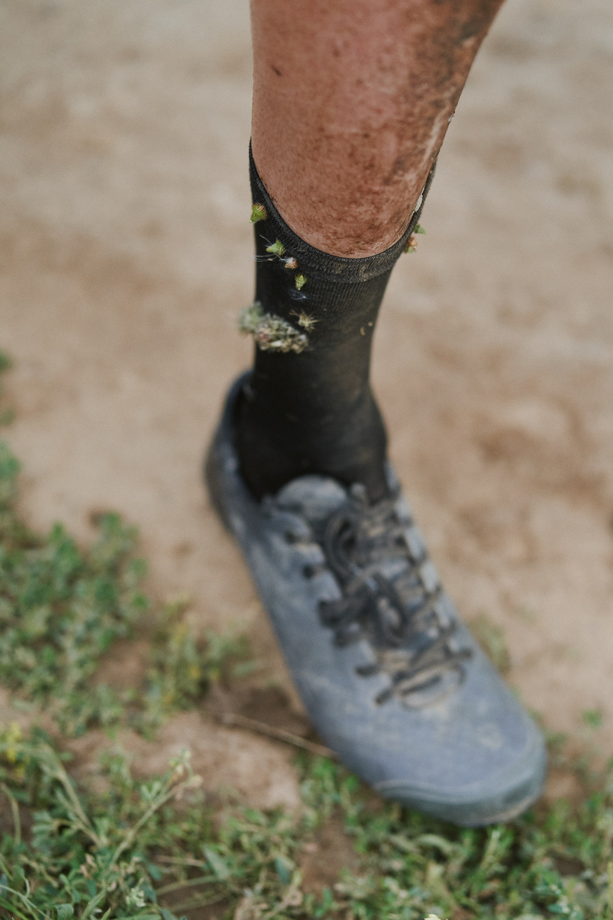 ПОКРОВА 2024. Еремина Катерина