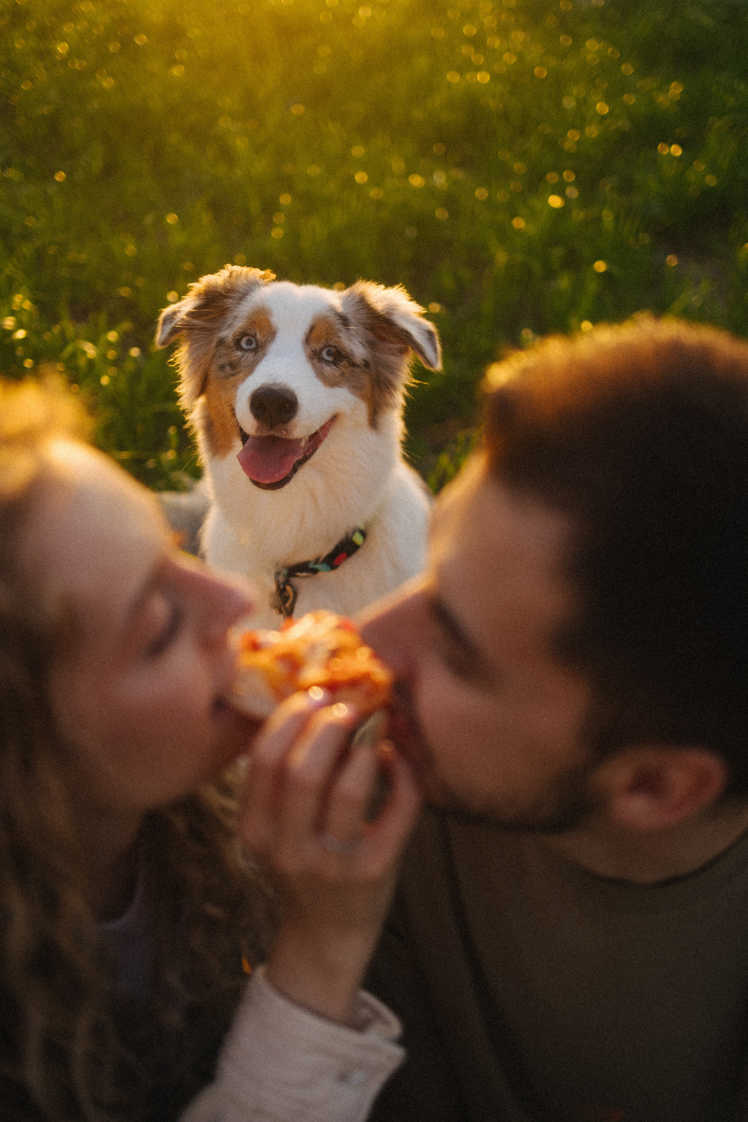 Настя, Влад и Лэйк. Фотораф — анималист Мария Шистка