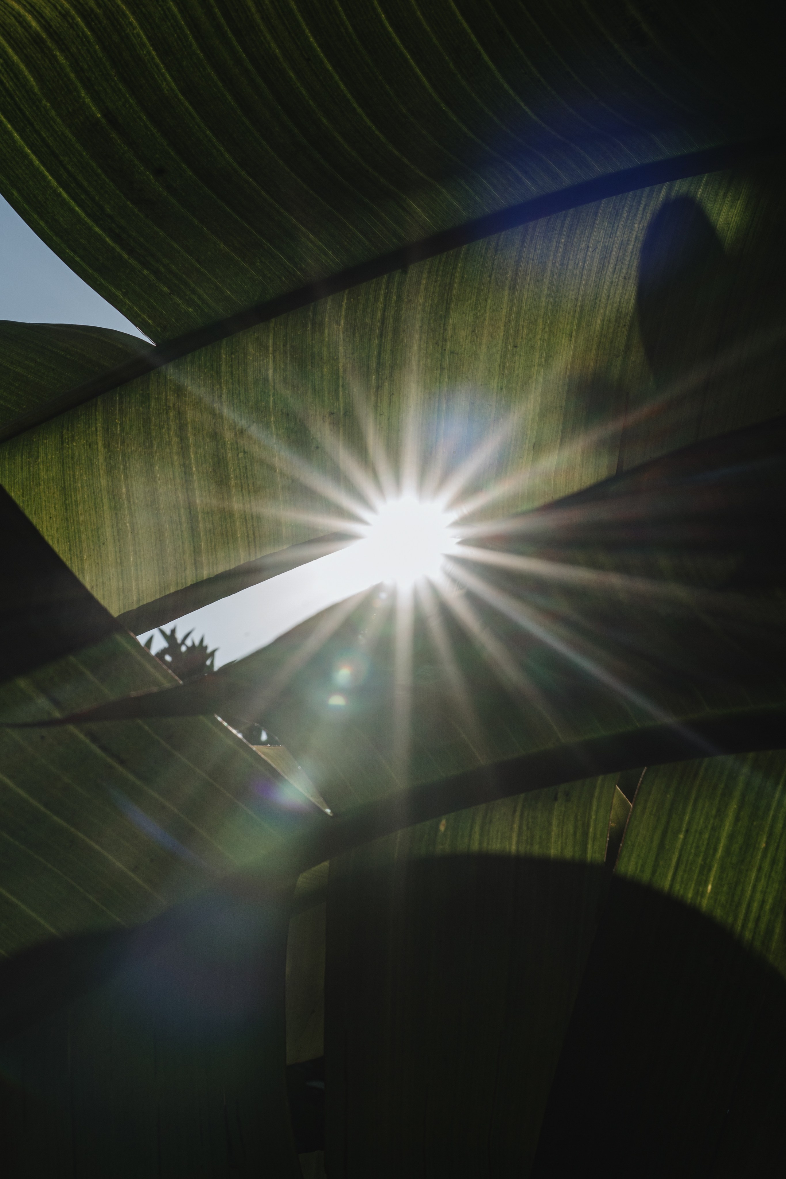 Casa Sur. Wedding & Documentary Photographer based in Nuremberg — available across Europe & Turkey | Vitalii Nasonov