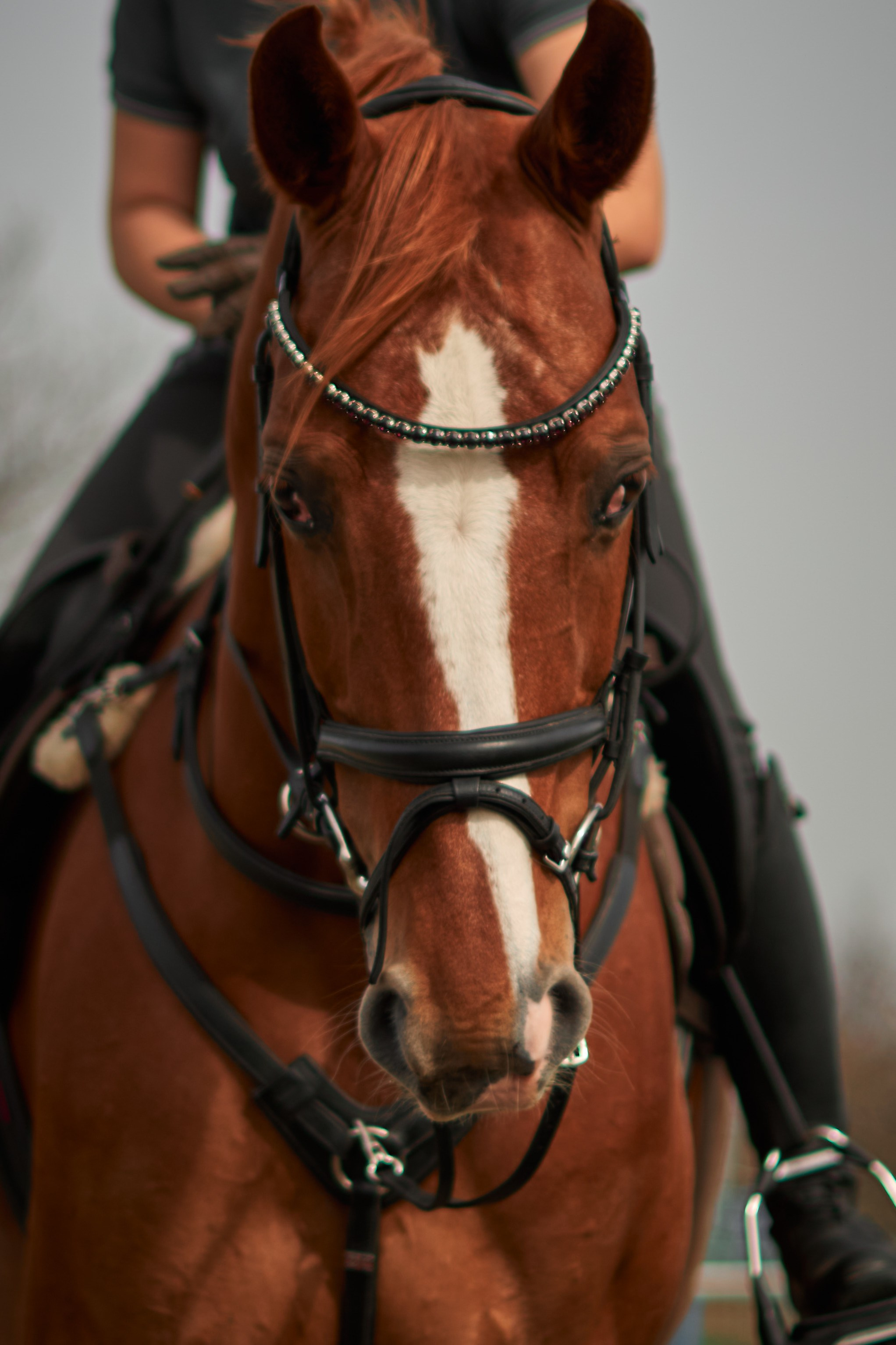 Екатерина и Банкир. Фотограф в Севастополе