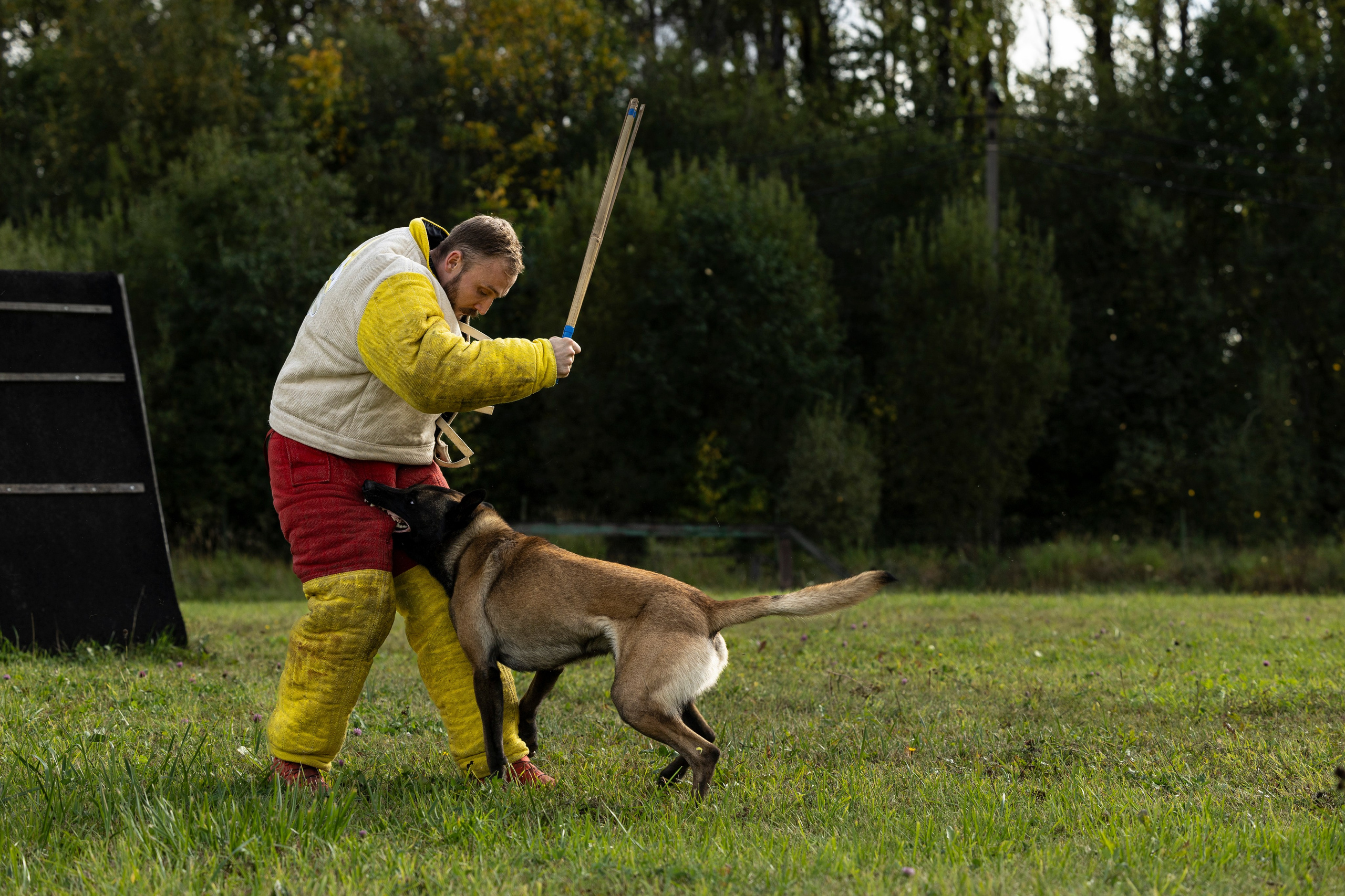 Испытания по Мондьорингу г. Пушкин. Фотограф-анималист Анна Маринич
