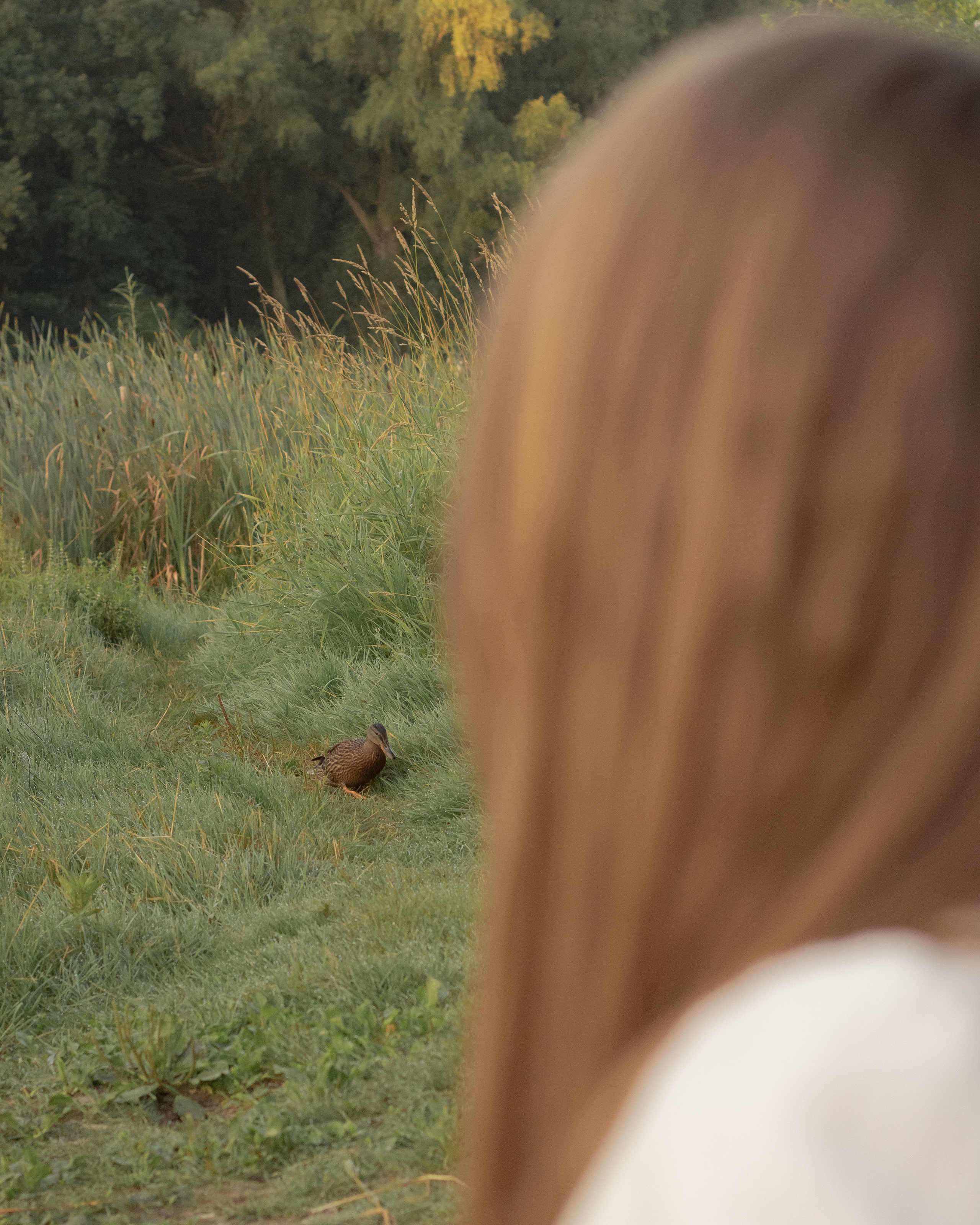Фотосессия на рассвете в Калининграде. Портретный фотограф в Калининграде Рита Холодова